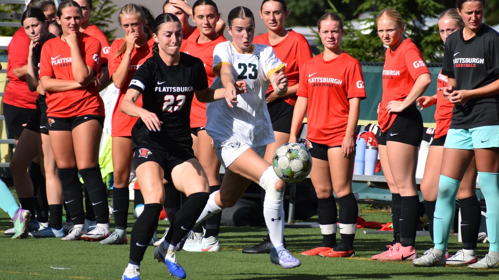 EverestBrooke2025vsPlat2