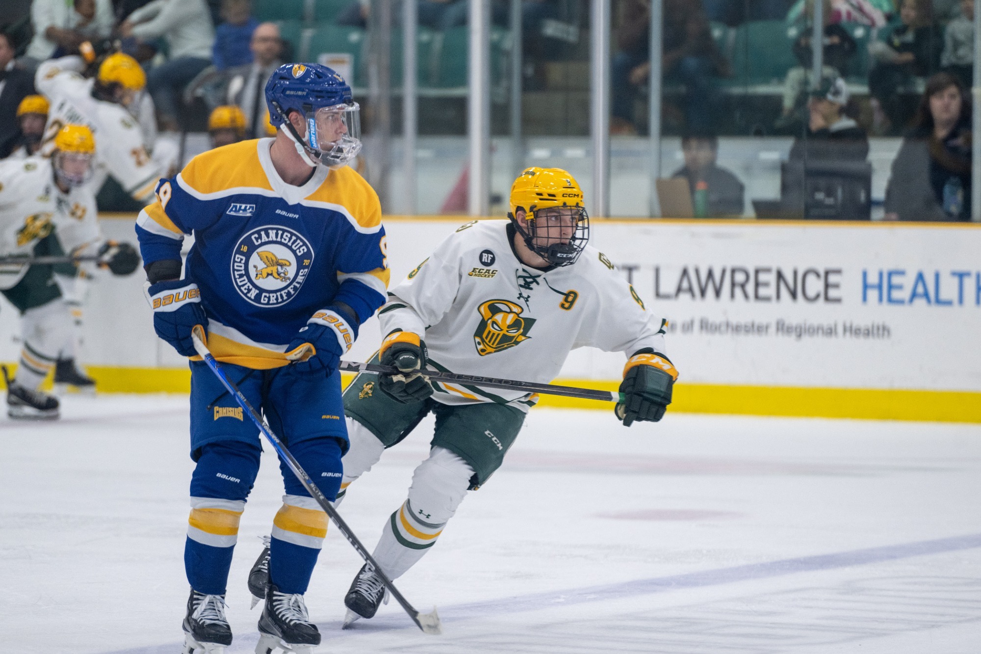 vs canisius