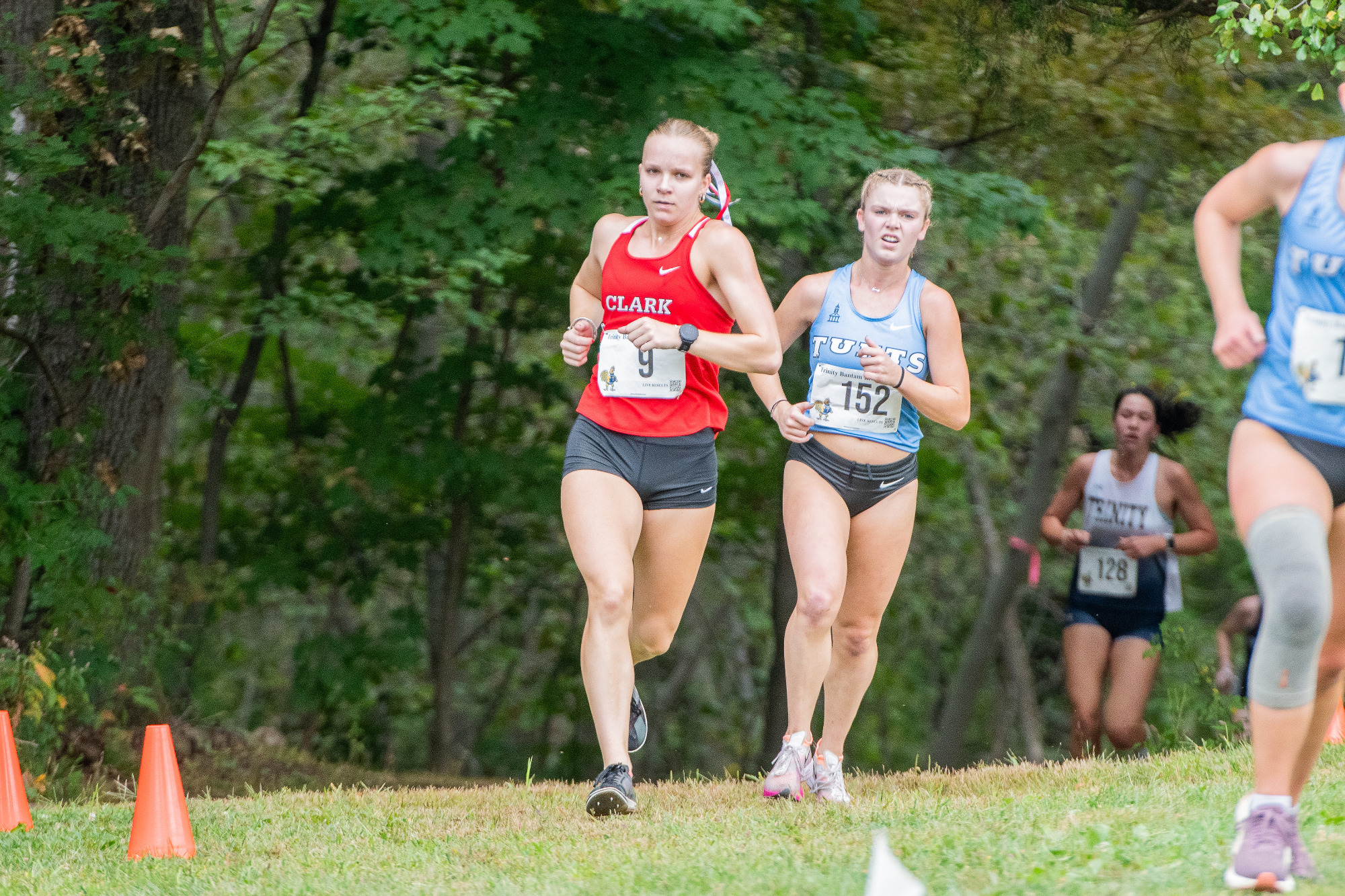 Steele