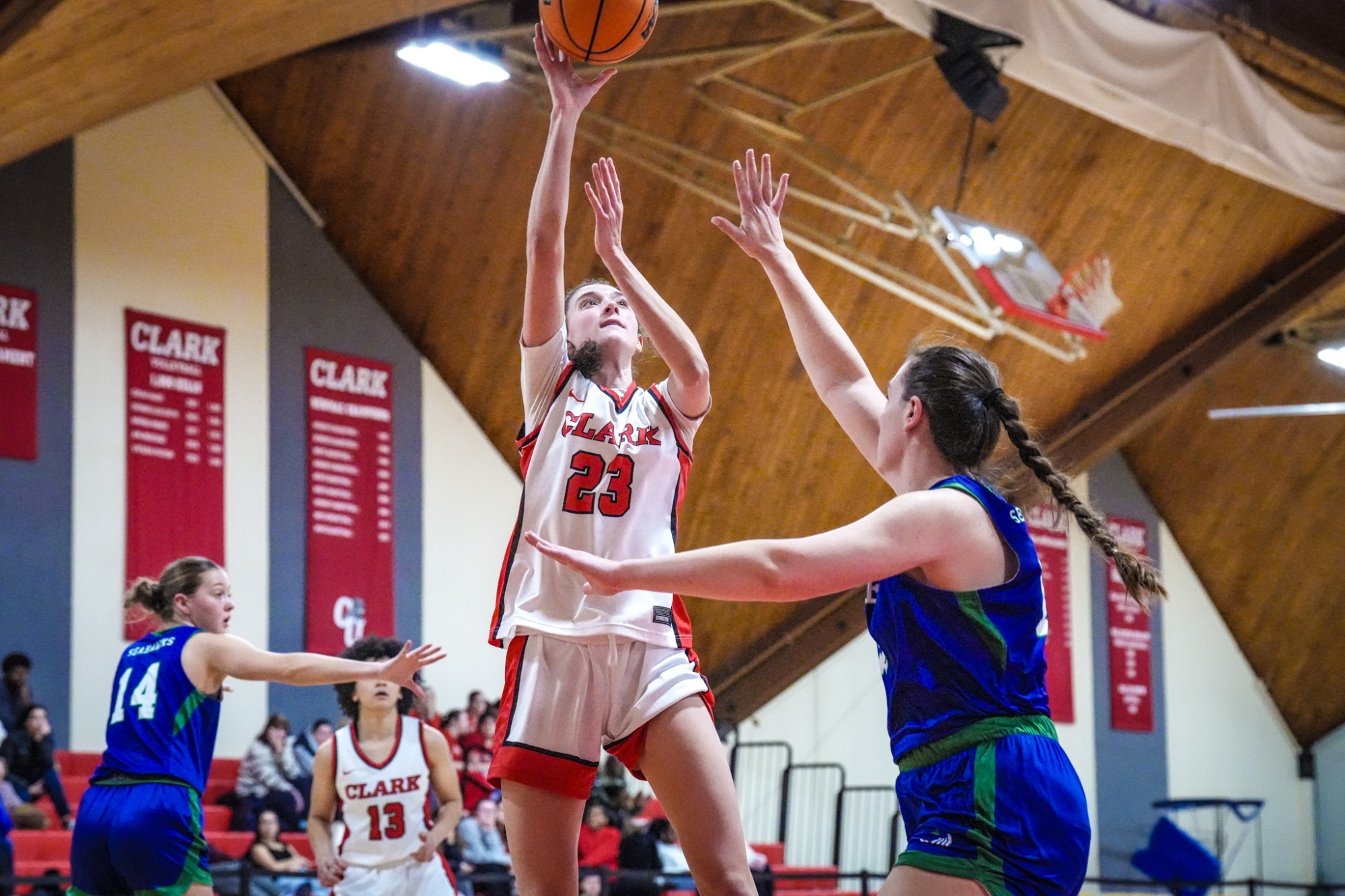 Shipley - WBB recap vs Salve