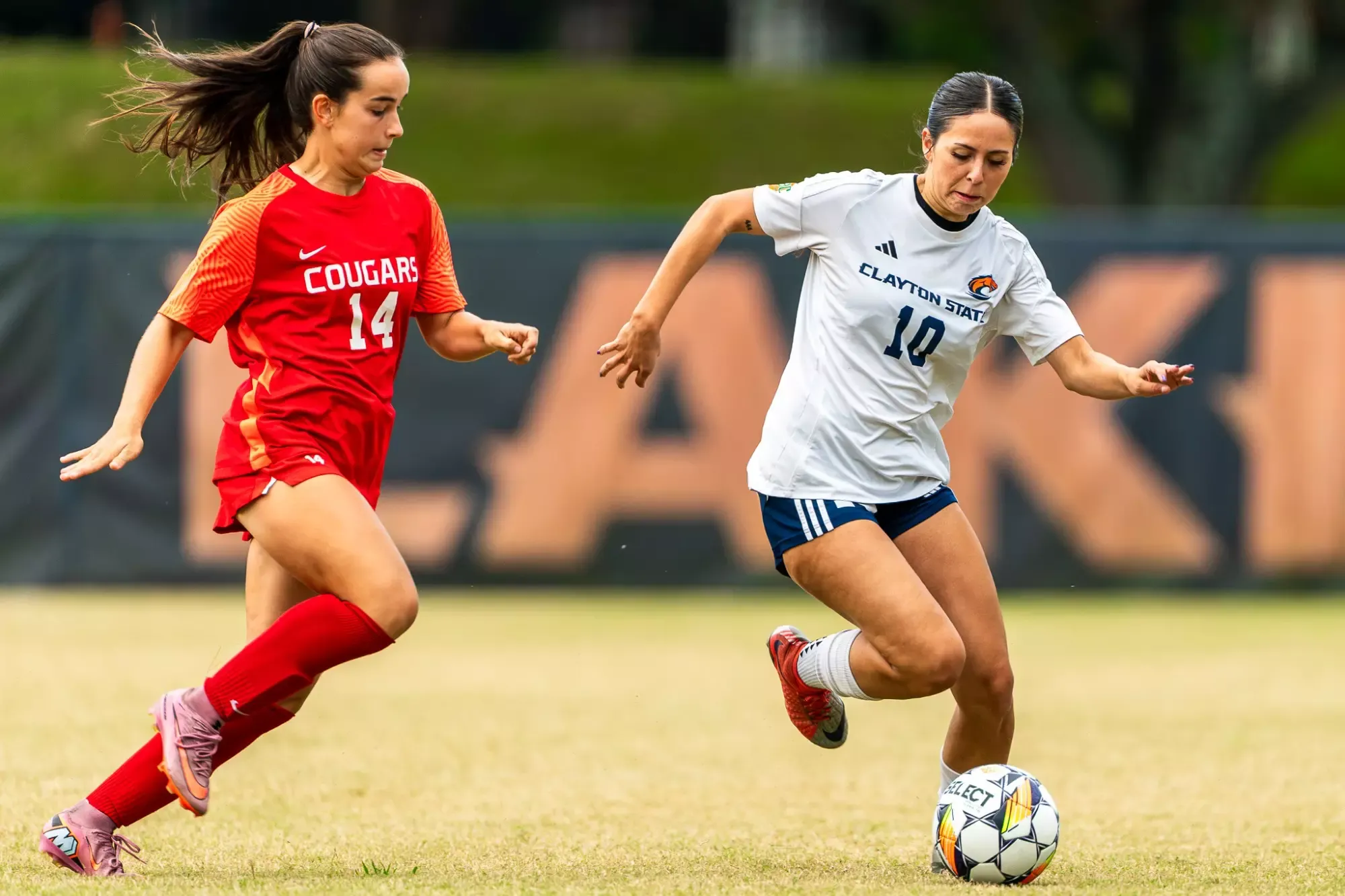 MORROW GA - October 8: Clayton State takes on Columbus State on October 8, 2025. (Photo by Lyndon Terrell)