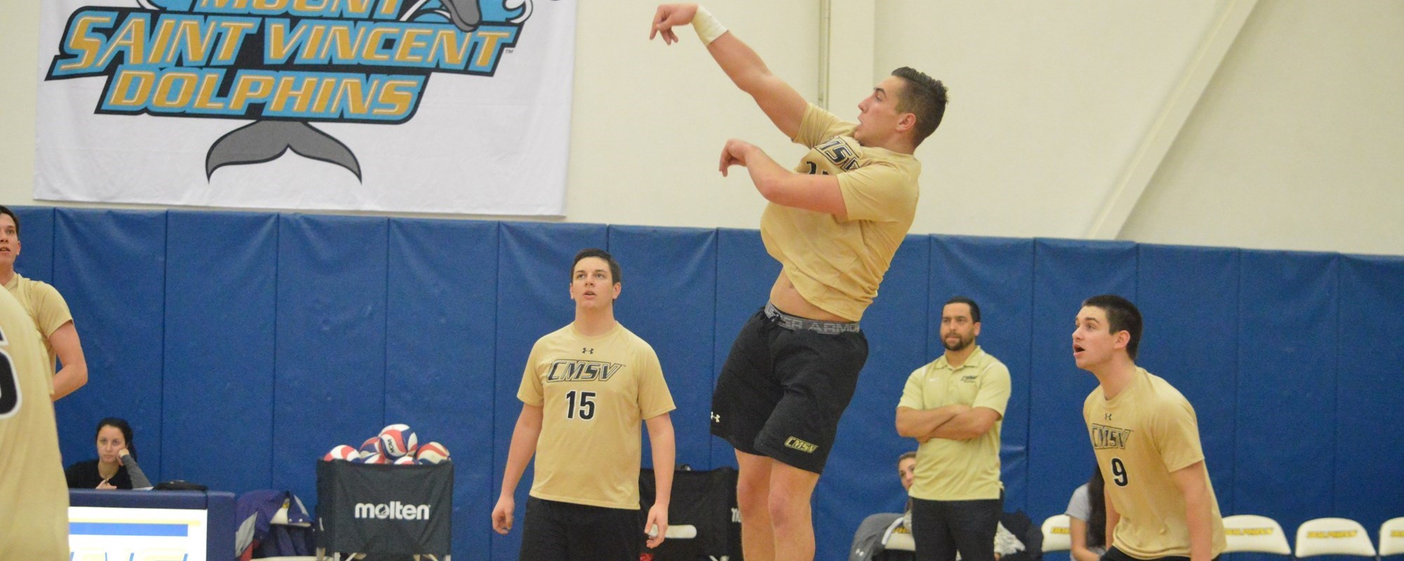 Neven Skoblar 2018 Men's Volleyball College of Mount Saint