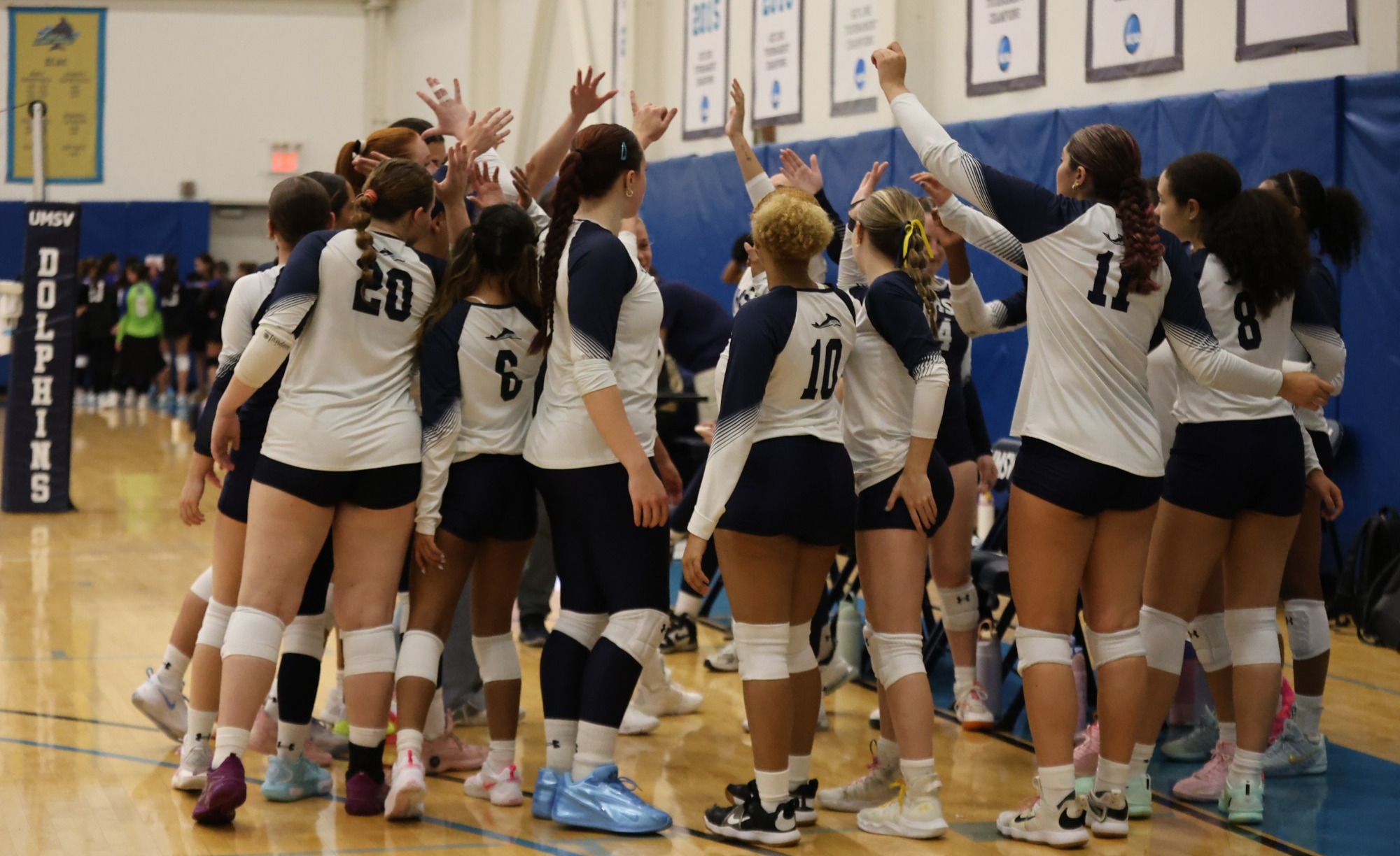 WVB Team