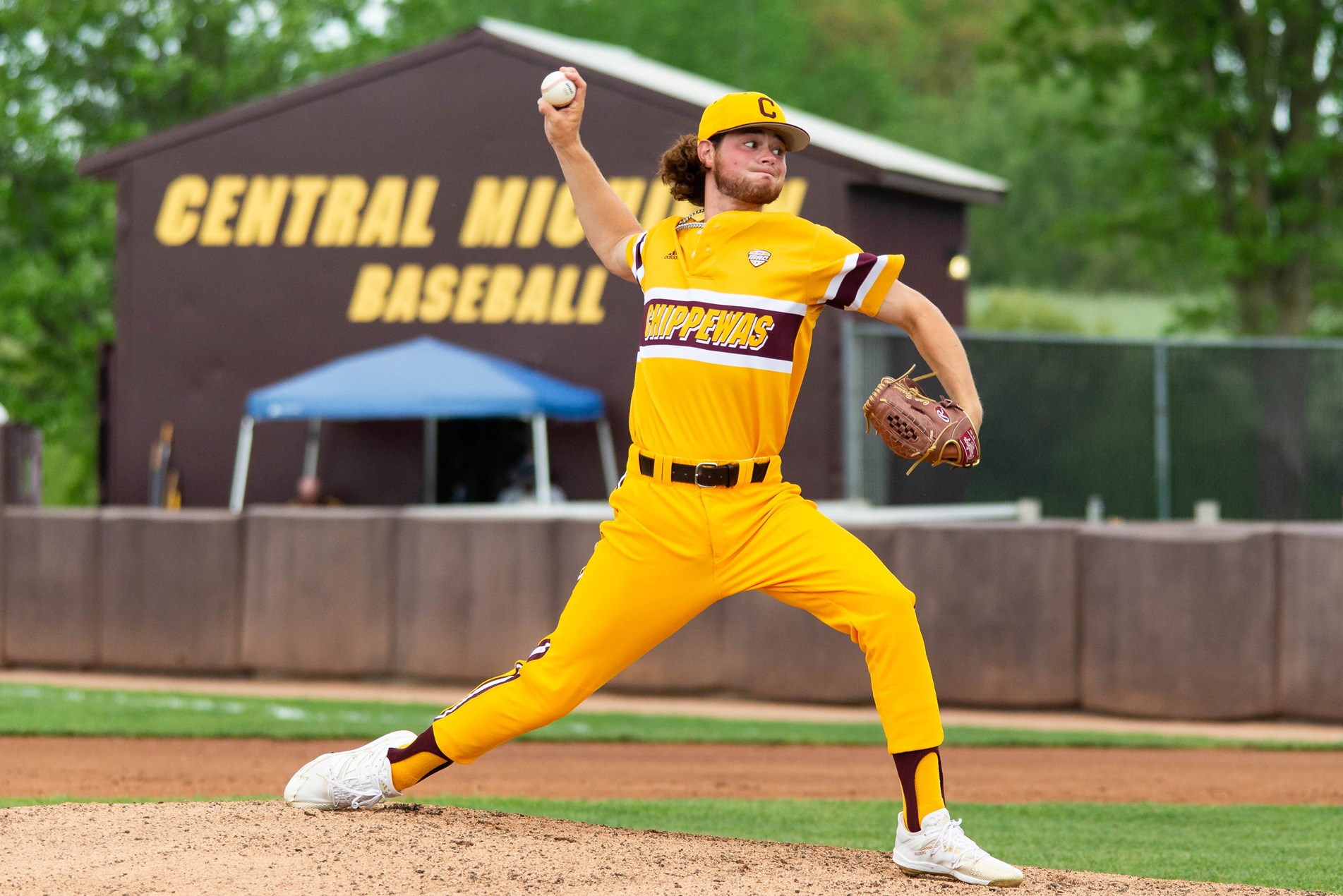 Cameron Brown Baseball Central Michigan University Athletics