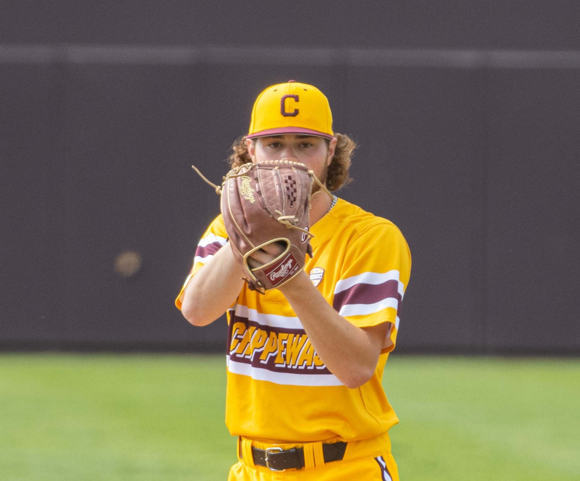 Cameron Brown Baseball Central Michigan University Athletics