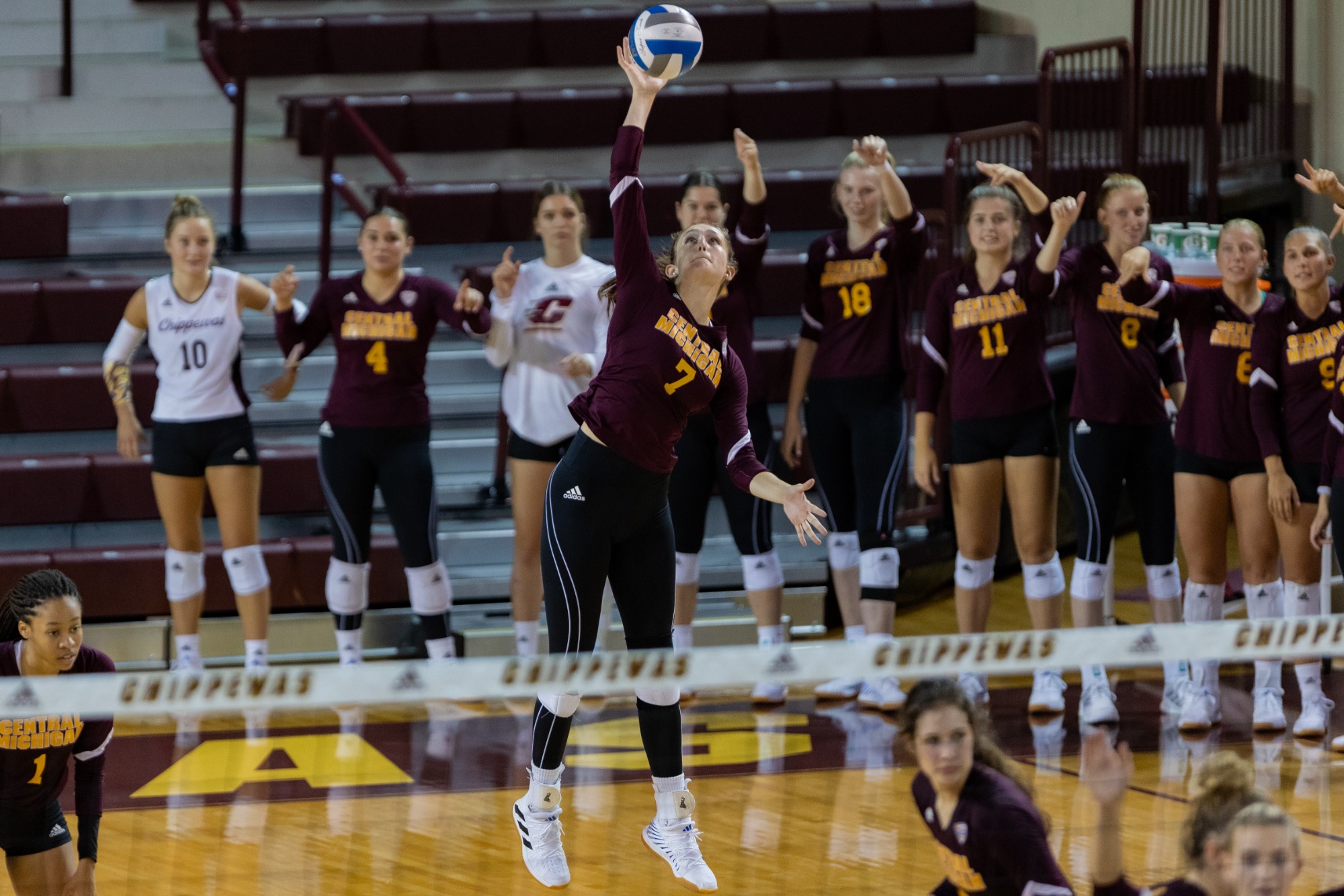 Olin Named Volleyball Defensive Player of the Week Central Michigan