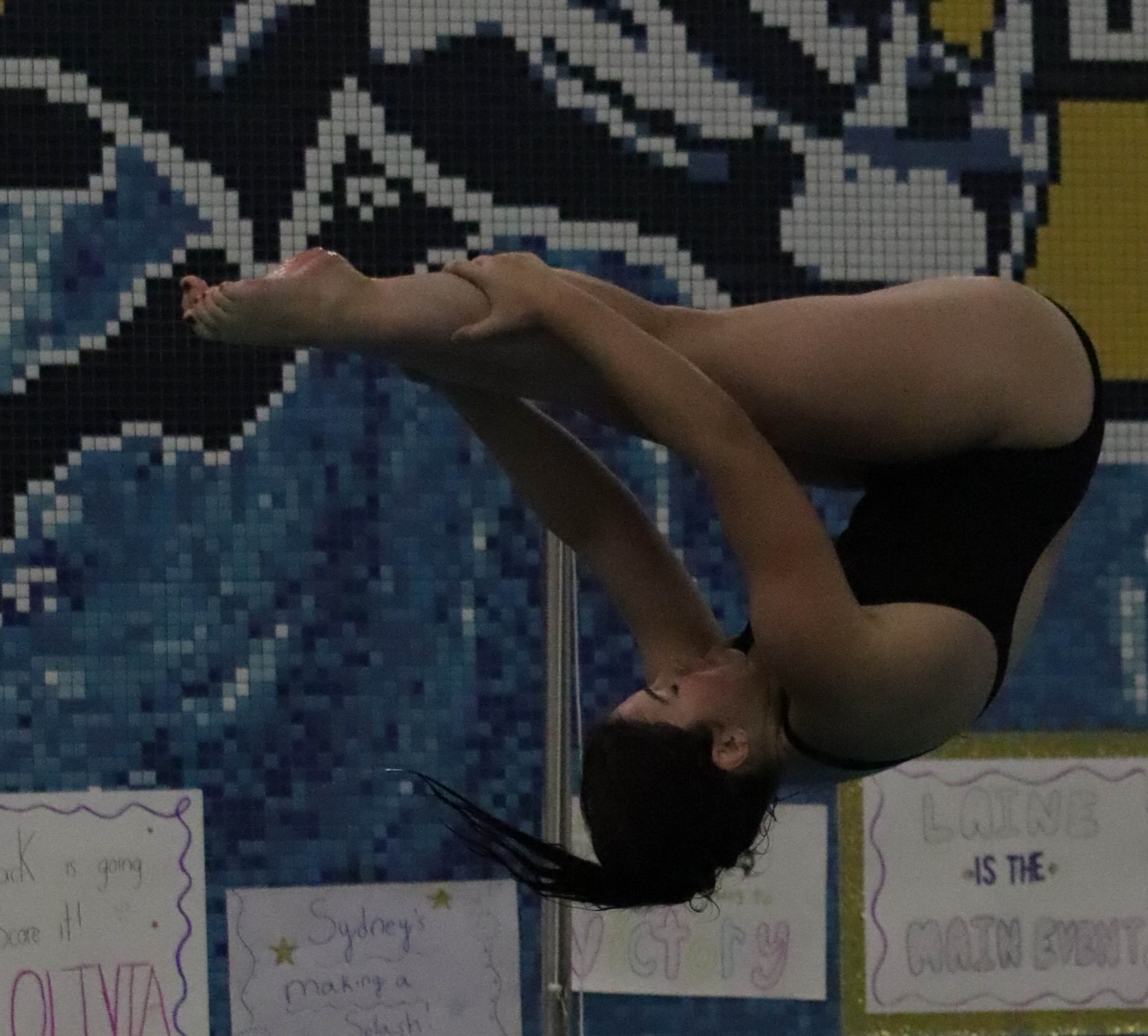 GSWIM at WG 26