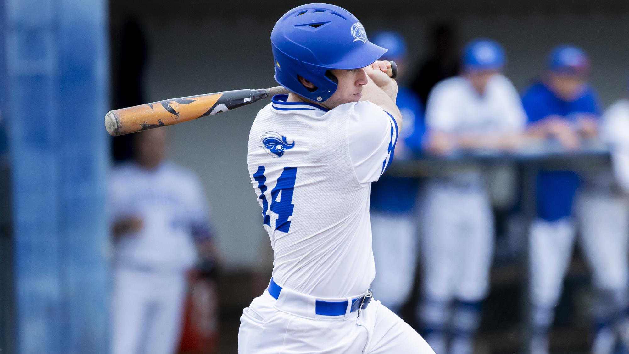 Brayden Hodges Baseball Christopher Newport University Athletics