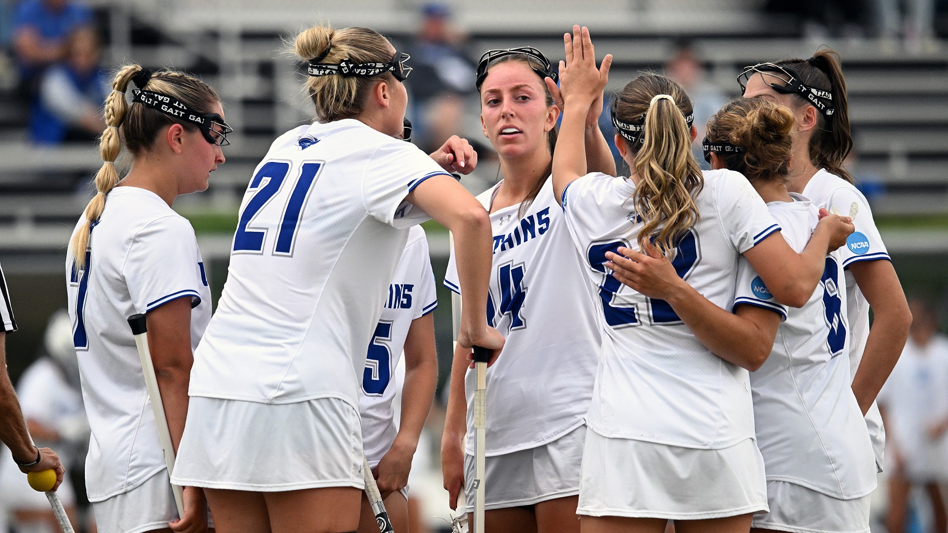 Celebration vs Meredith