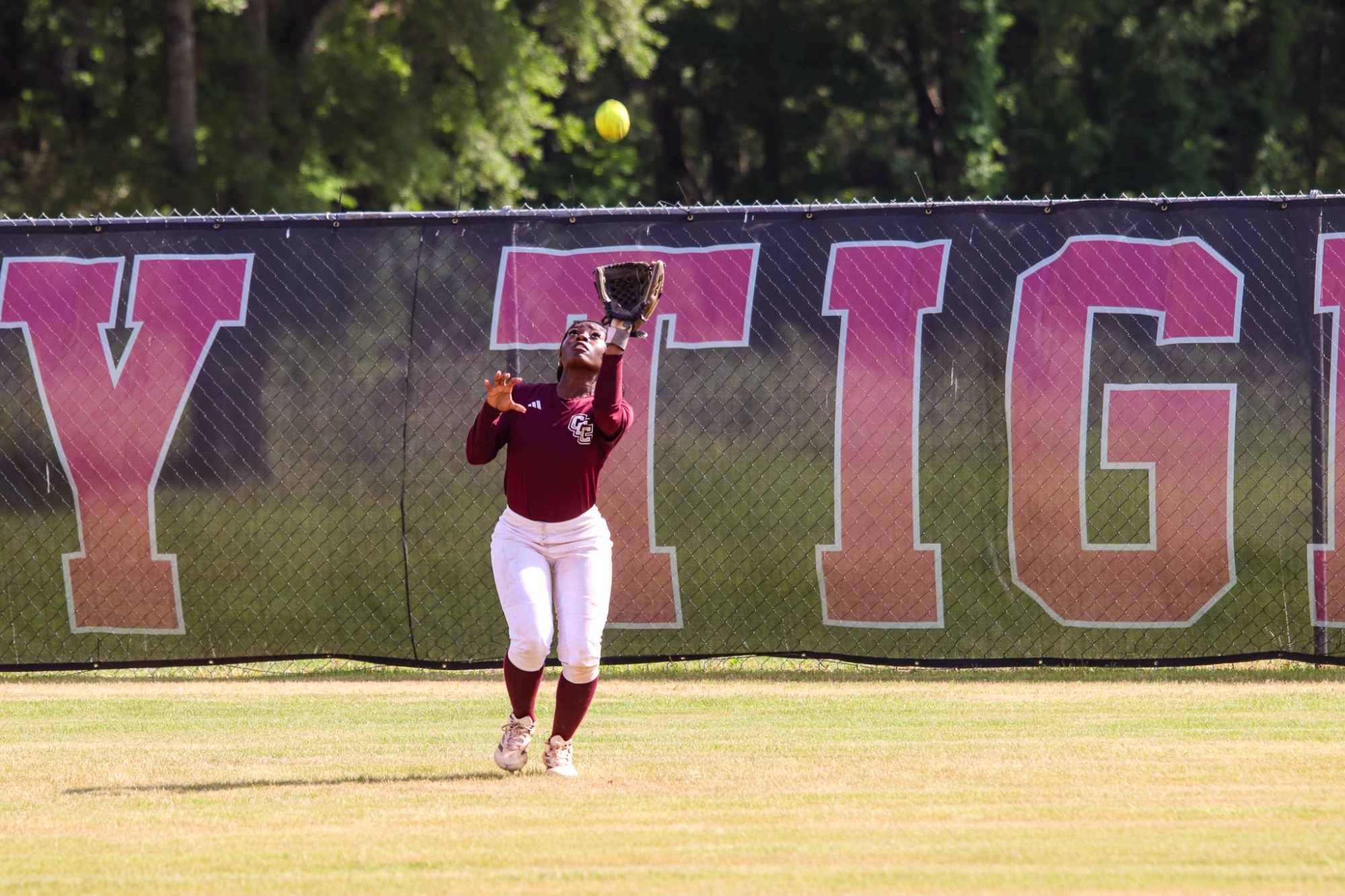 Softball Game : Lazion 