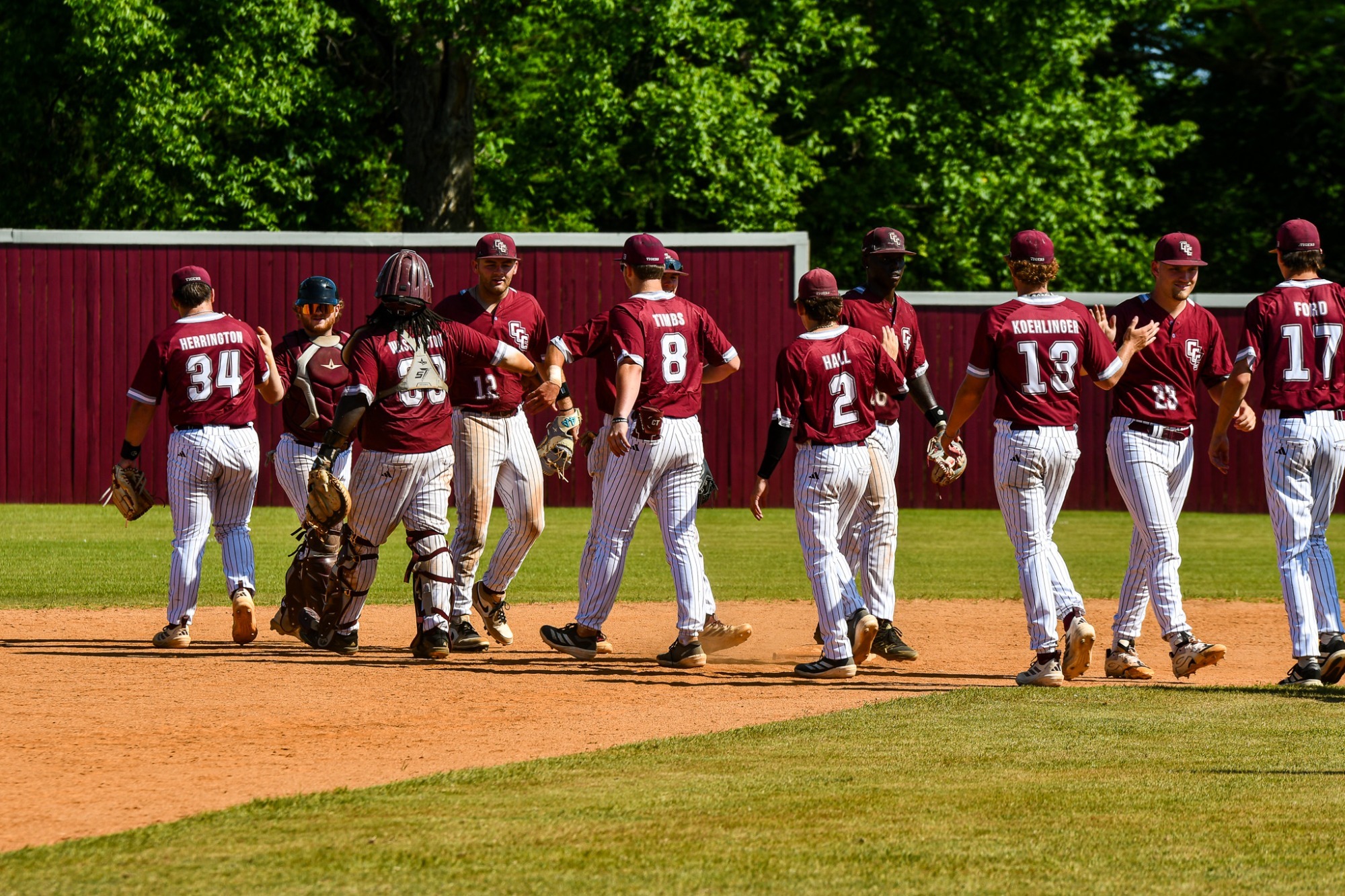 Baseball 2026 Image for News Article