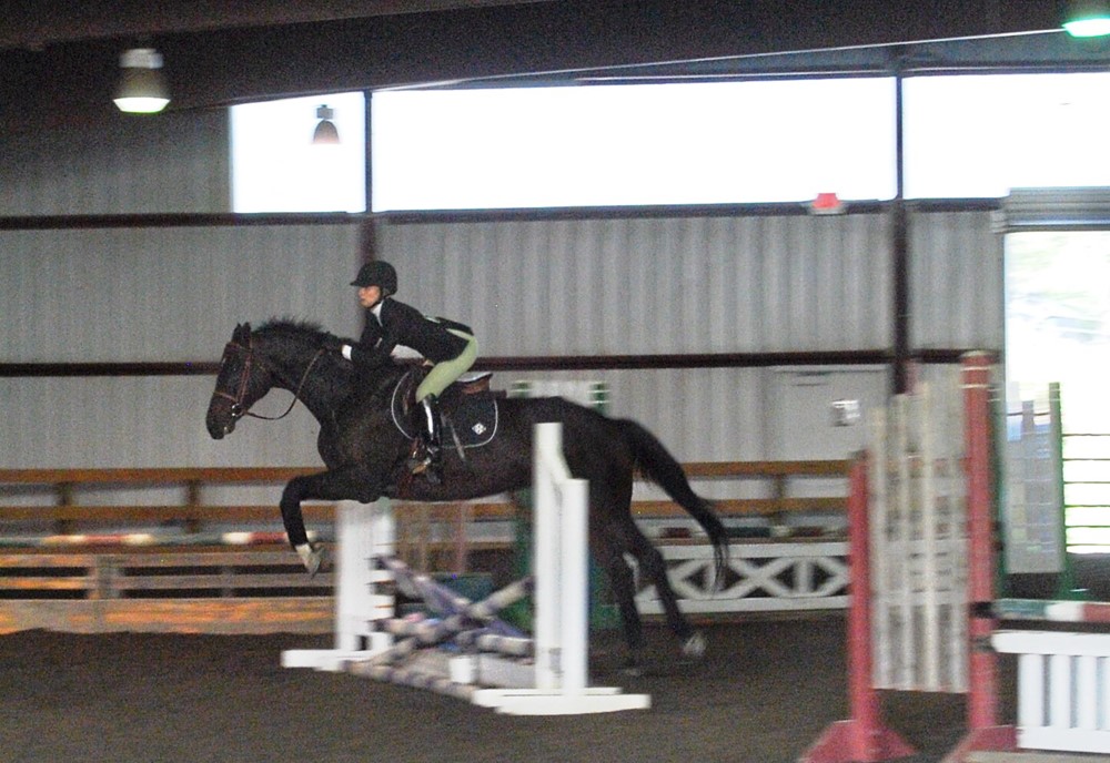 Hunt Seat Equestrian Over the Barrier