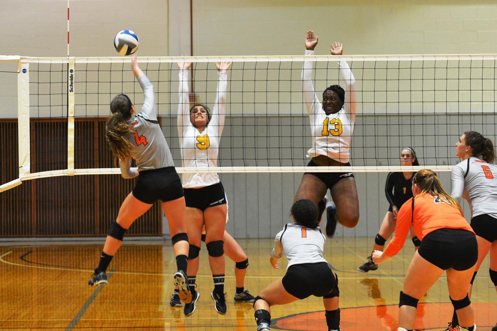 Emily Potter 2017 Women's Volleyball SUNY Cobleskill Athletics