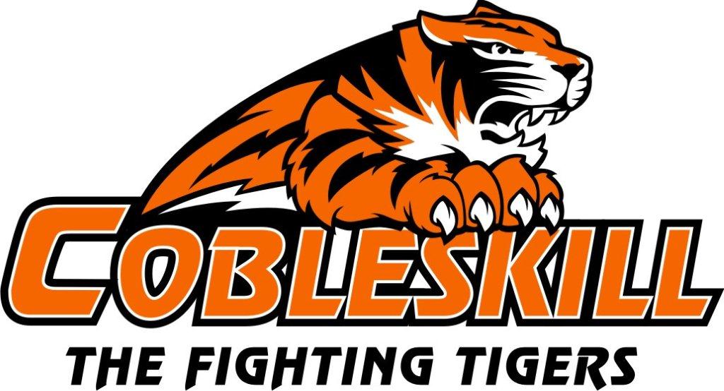 Fighting Tiger Logo