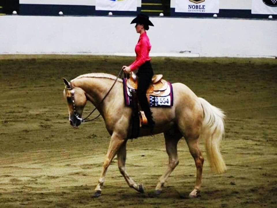 Western Equestrian Red Rider at Morrisville