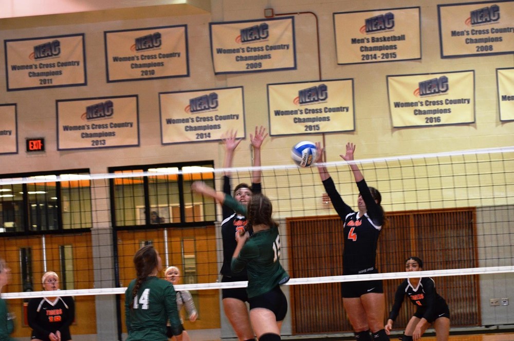 Emily Potter 2017 Women's Volleyball SUNY Cobleskill Athletics