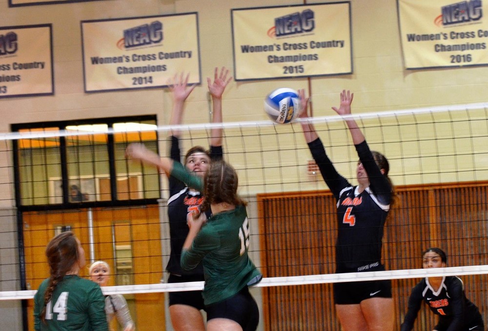 Emily Potter 2017 Women's Volleyball SUNY Cobleskill Athletics