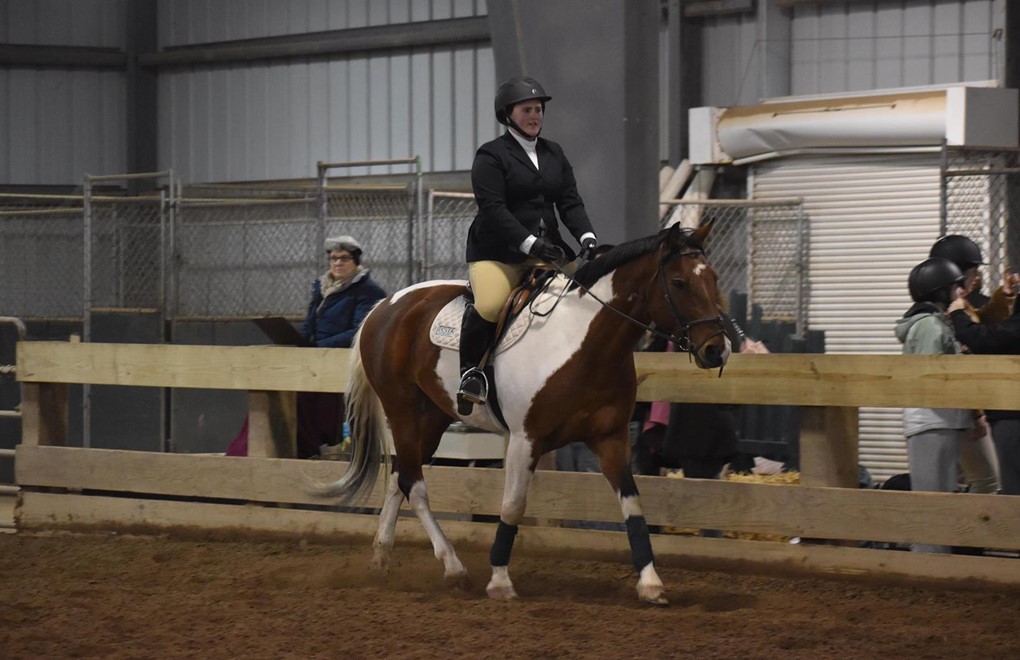 Hunt Seat Equestrian at Skidmore November Show