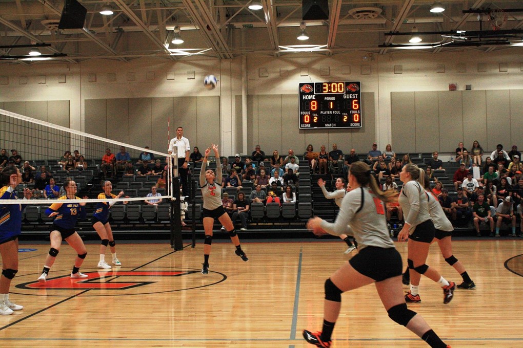 Fighting Tiger Volleyball Shuts Down Bay Path University in 30 Road