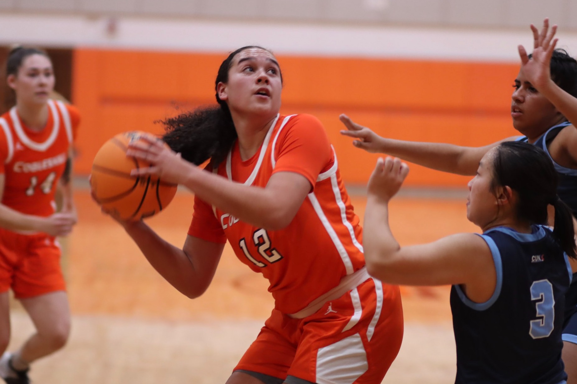 Sierra Goodson 202324 Women's Basketball SUNY Cobleskill Athletics