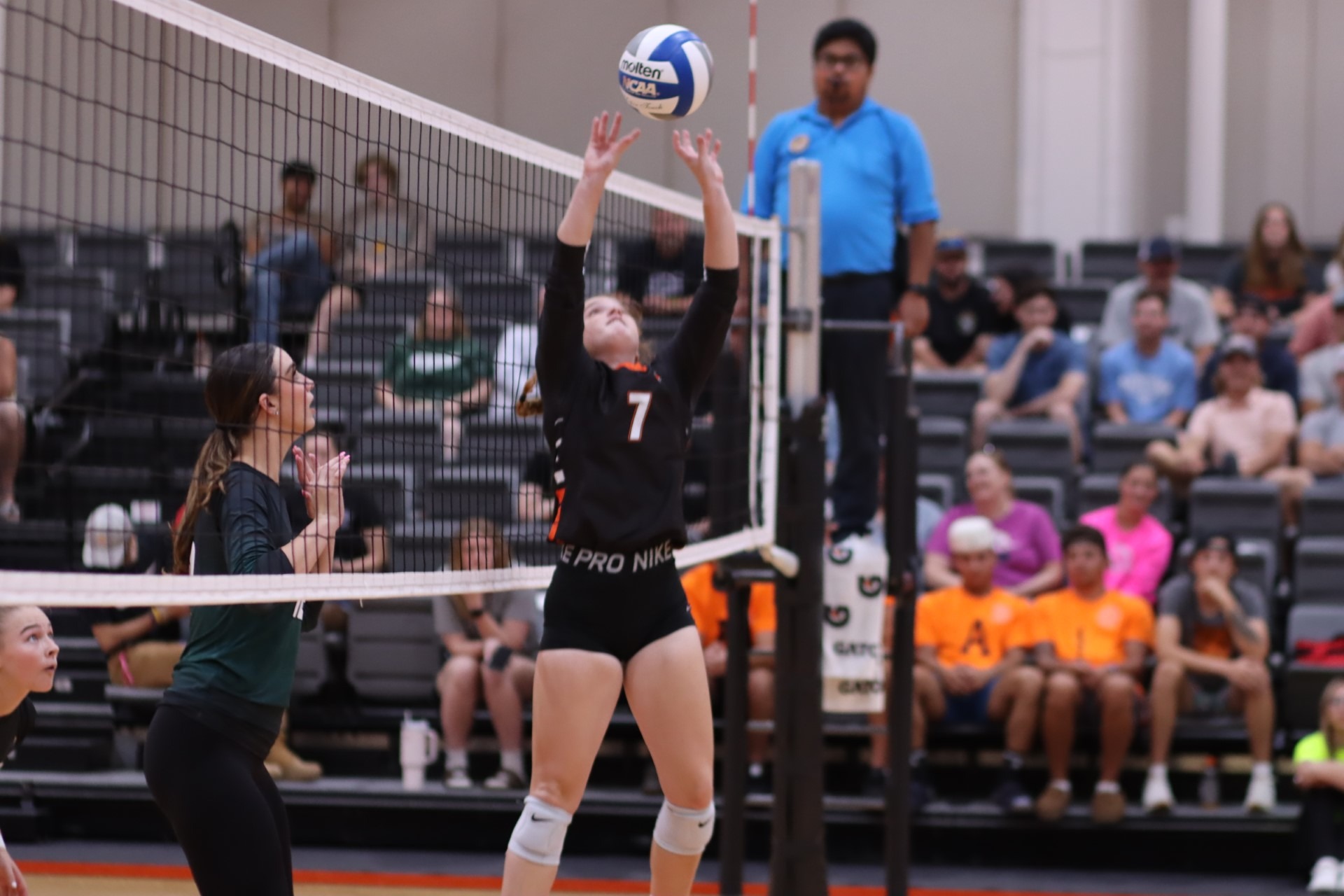 Fighting Tiger Volleyball Out Battled by Visiting Russell Sage College