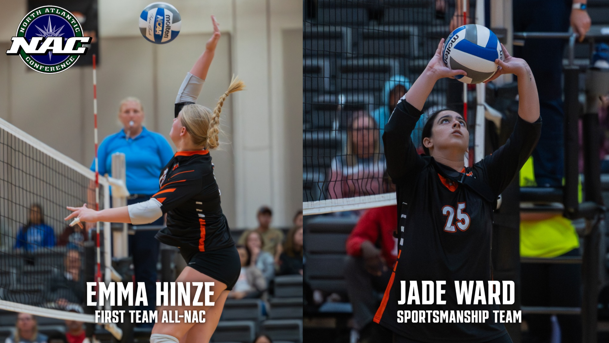 2025 NAC WVB Postseason Awards