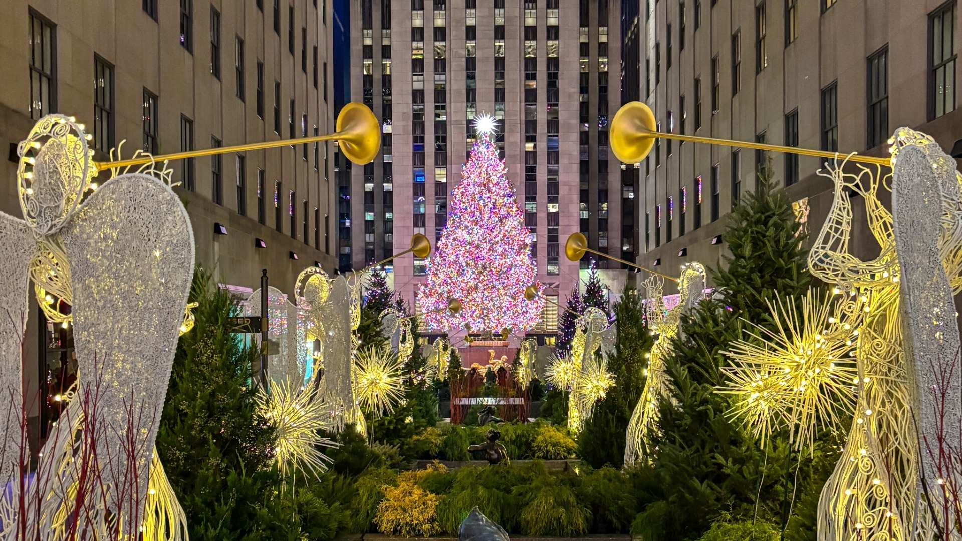 2025 rockefeller tree from a distance
