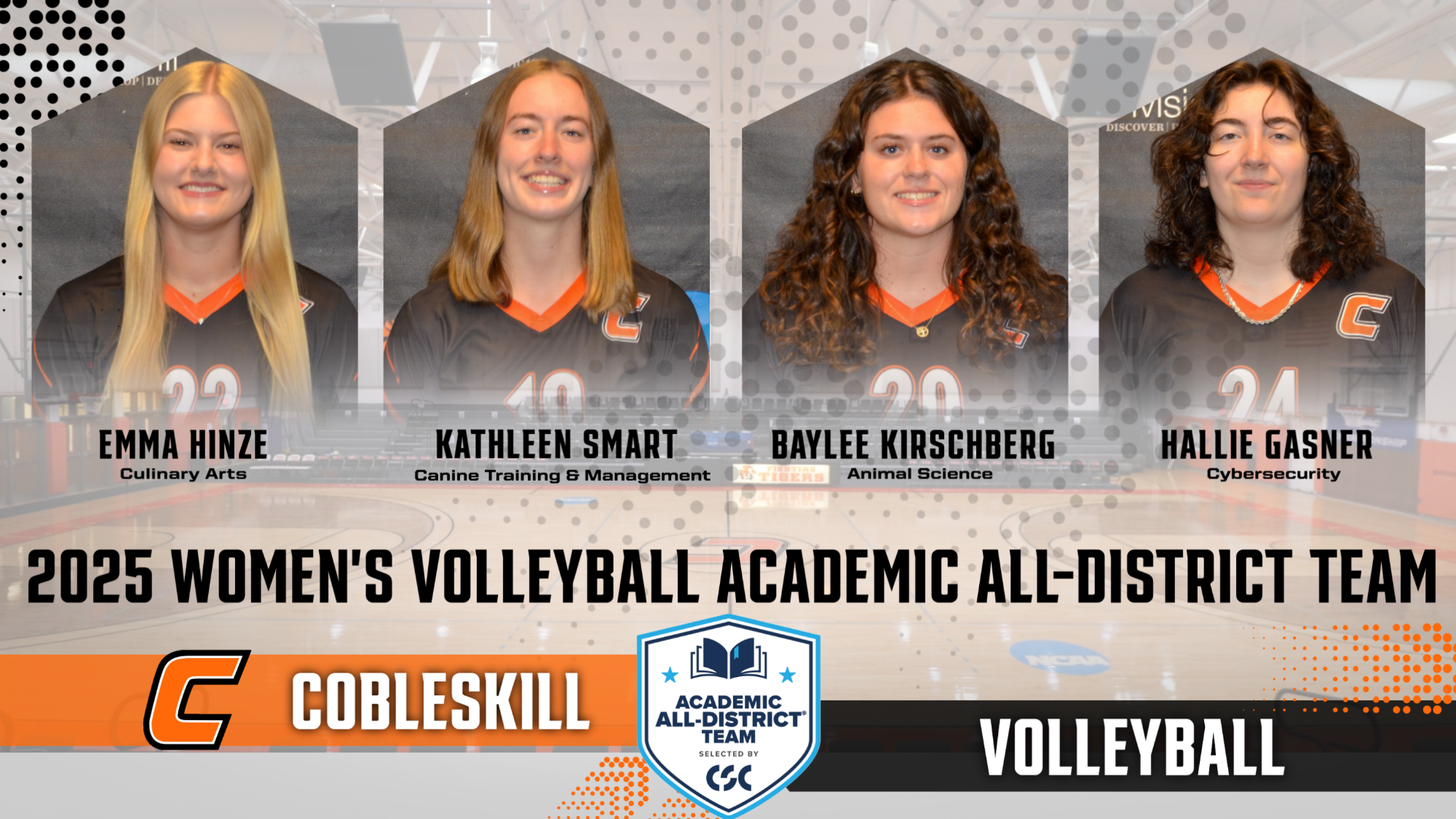 CSC WVB 2025 All-District