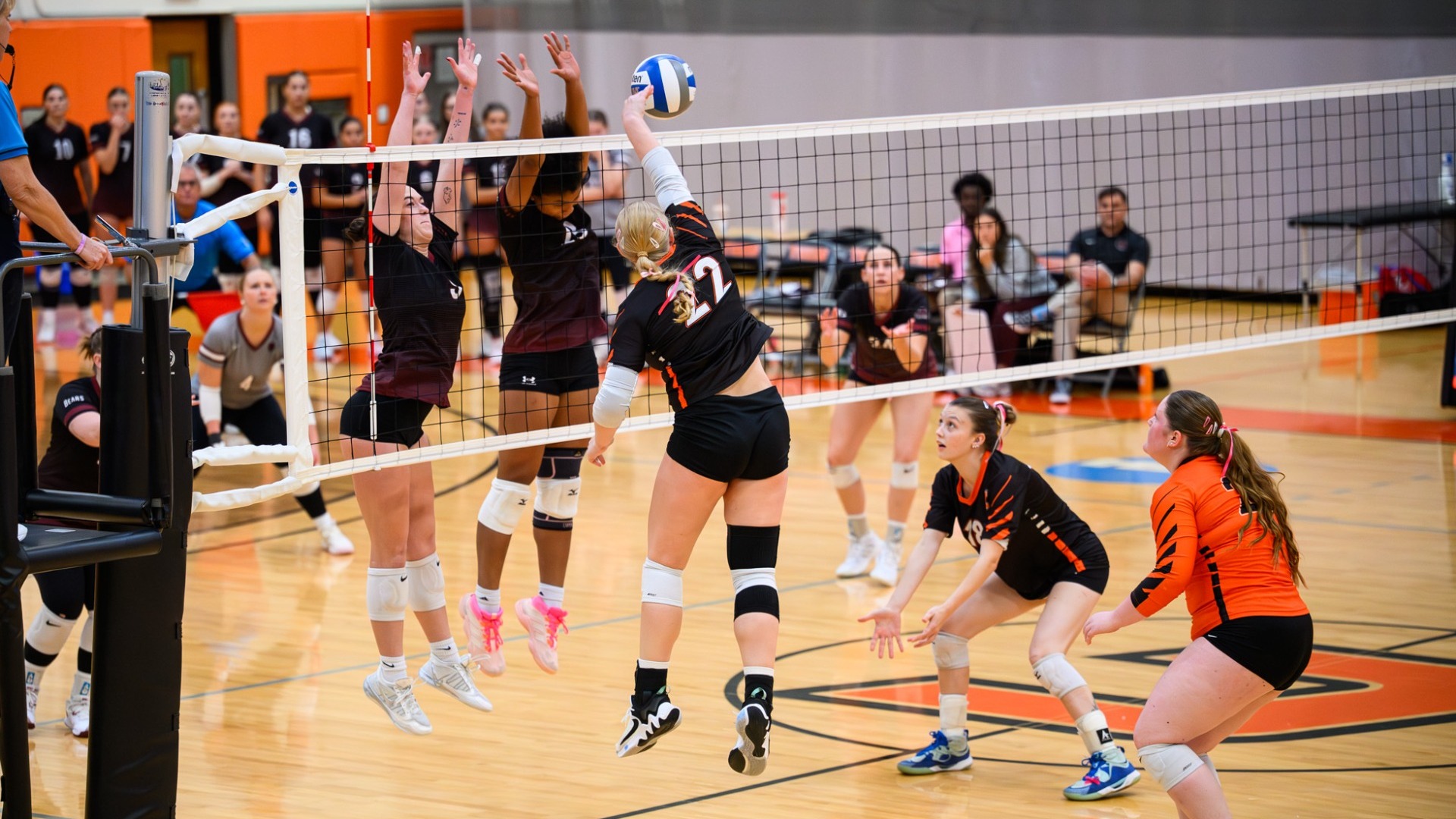 Cobleskill womens volleyball emma hinze going for the slam