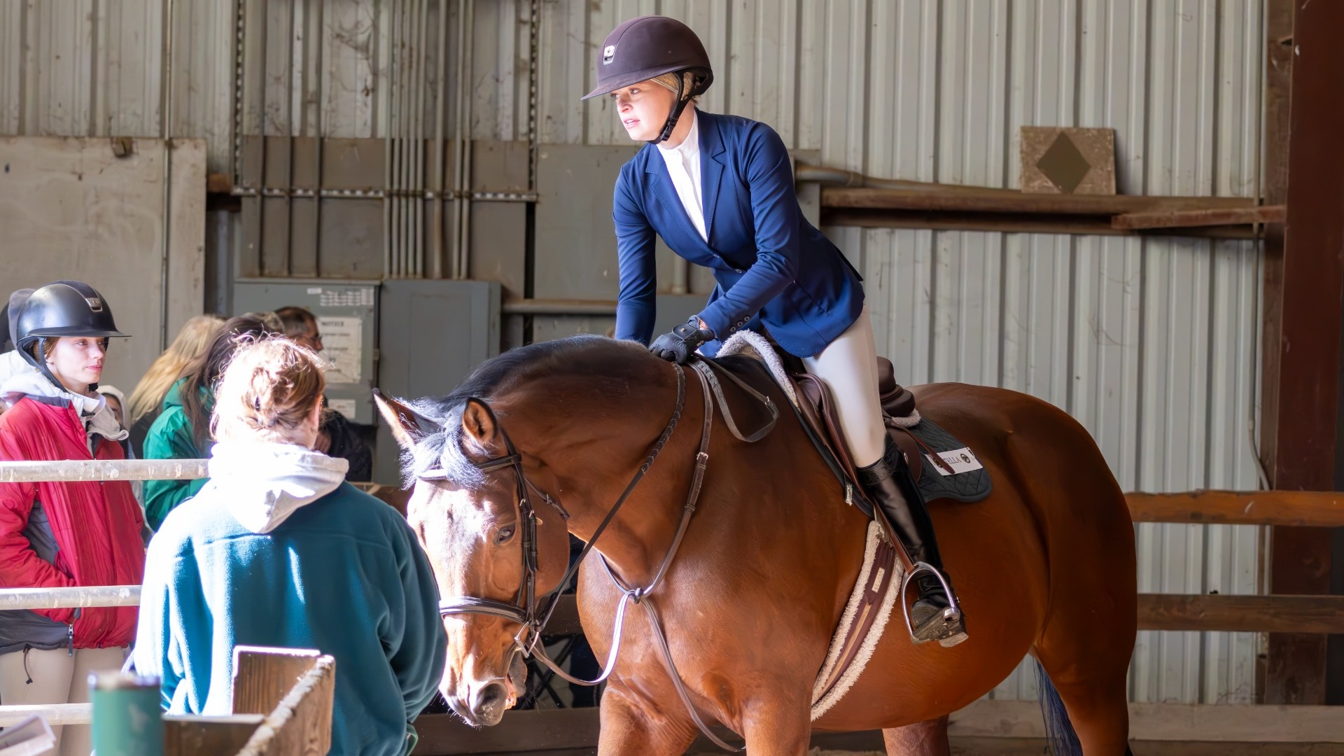 Cobleskill Equestrian Hunt Seat Rider on her horse before she goes on her run