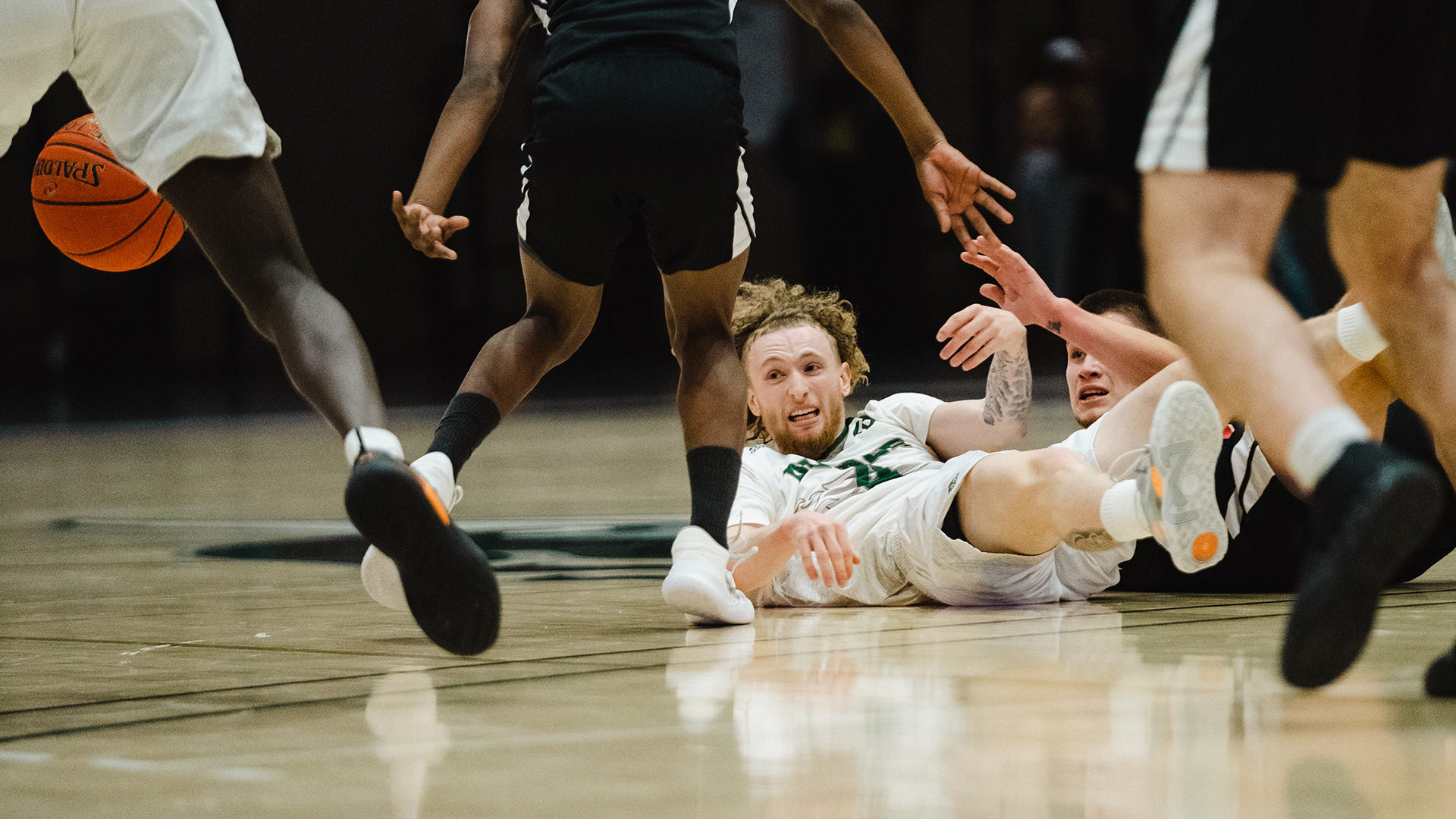 Finn Walsh Men's Basketball College of DuPage