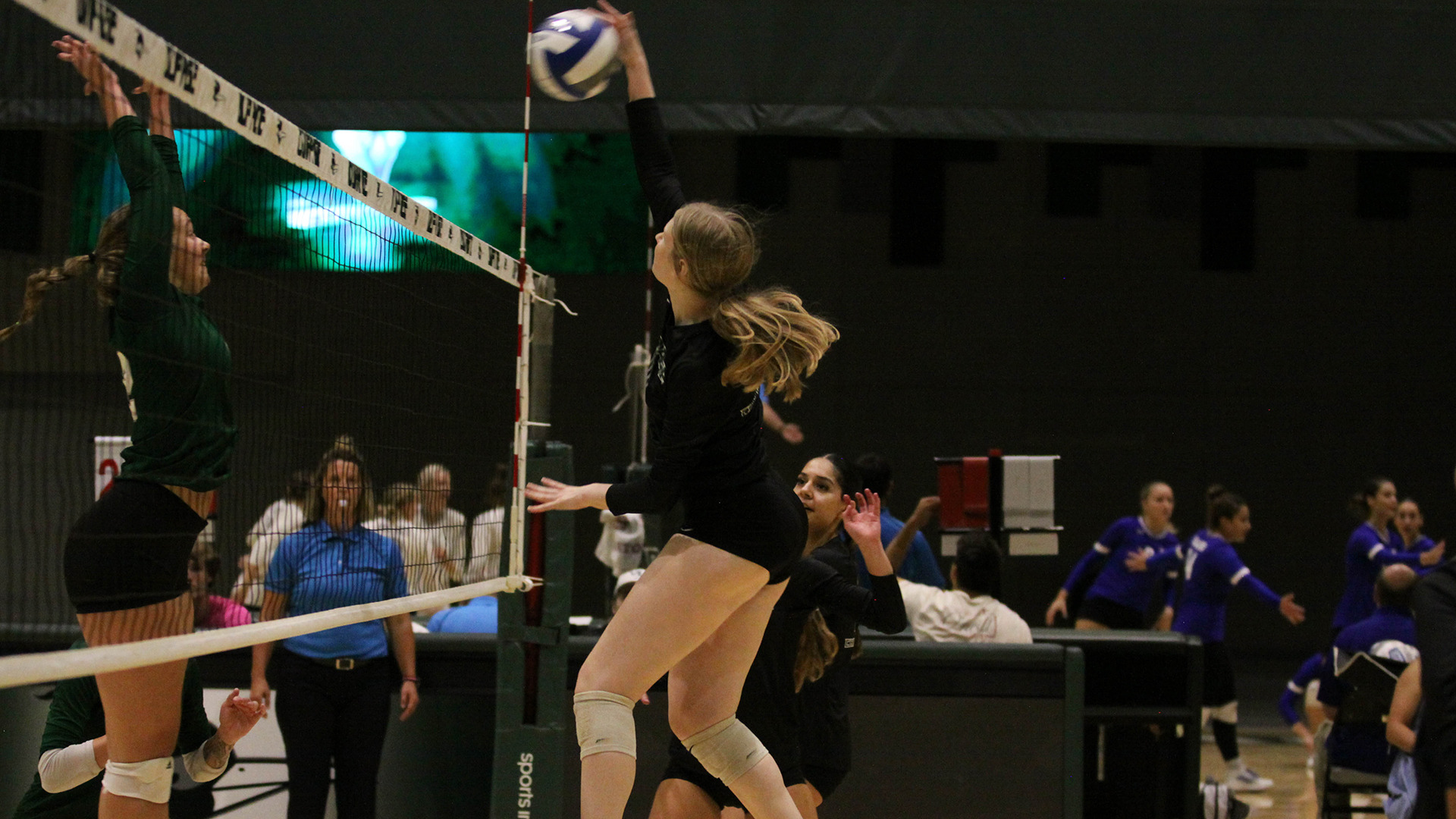Josephine Becker Women's Volleyball College of DuPage