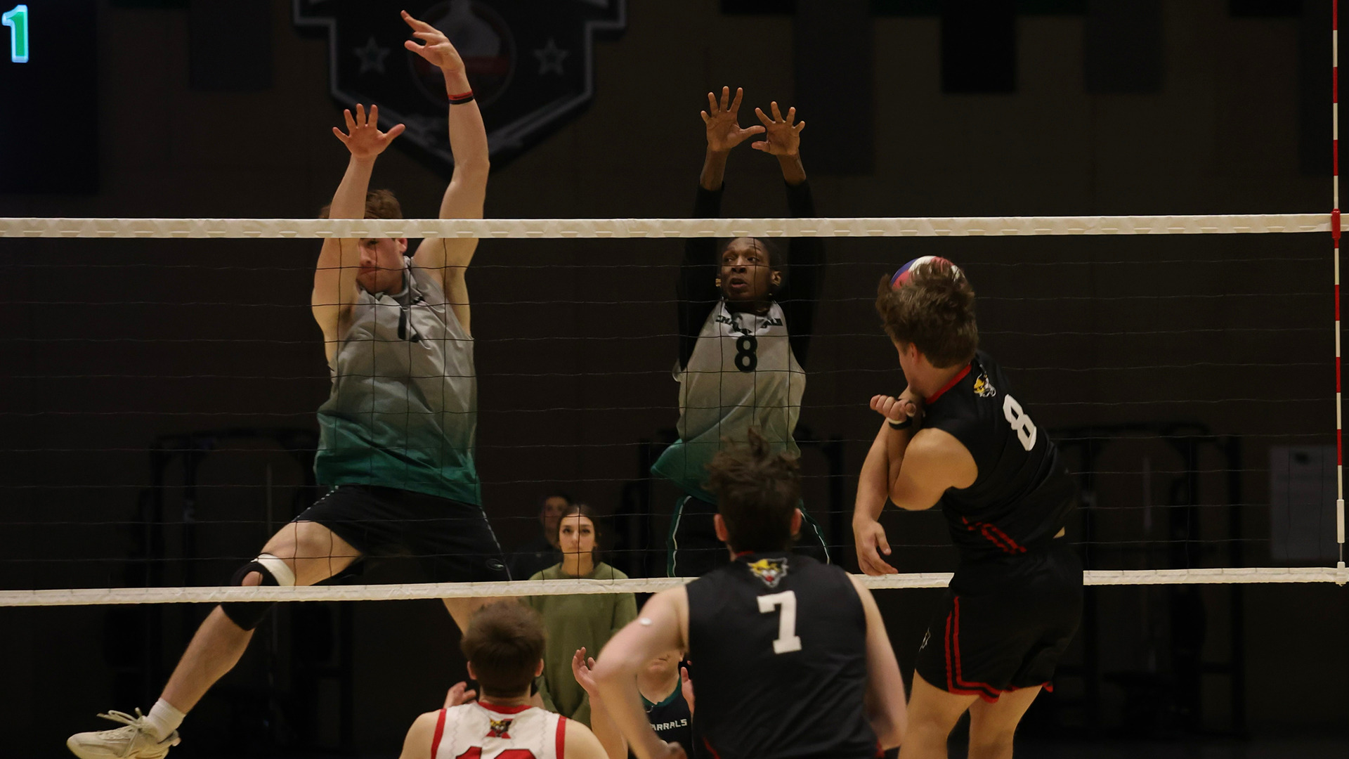 Mike Fenley Men's Volleyball College of DuPage