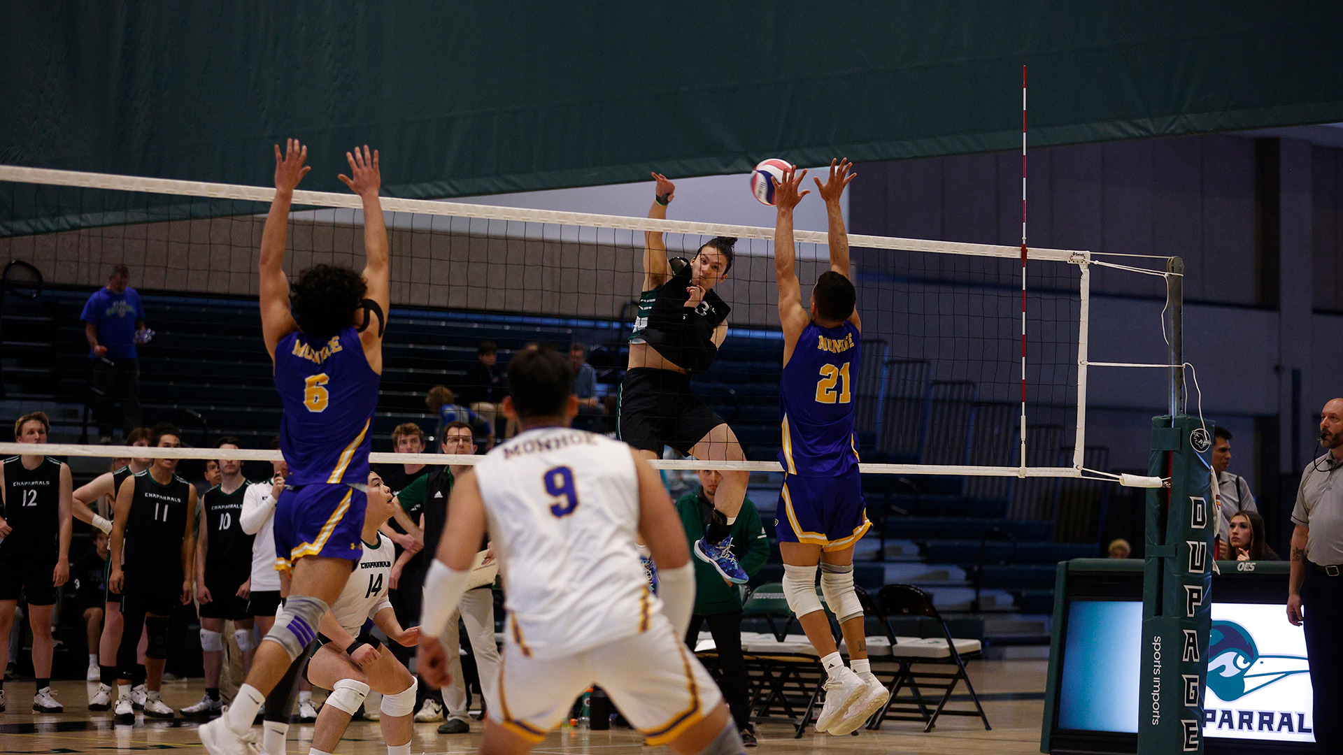 Erik Perez Men's Volleyball College of DuPage