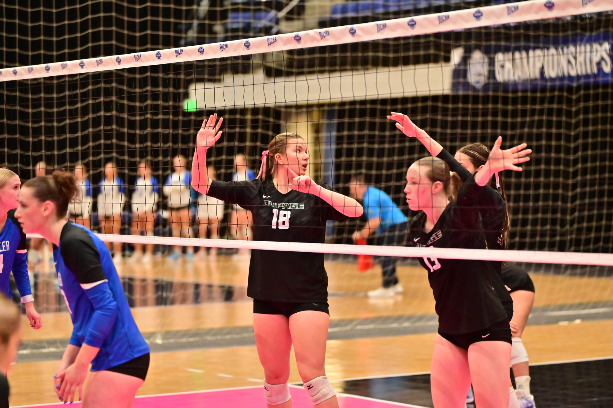 wvb-qtrfinal-butlerccc