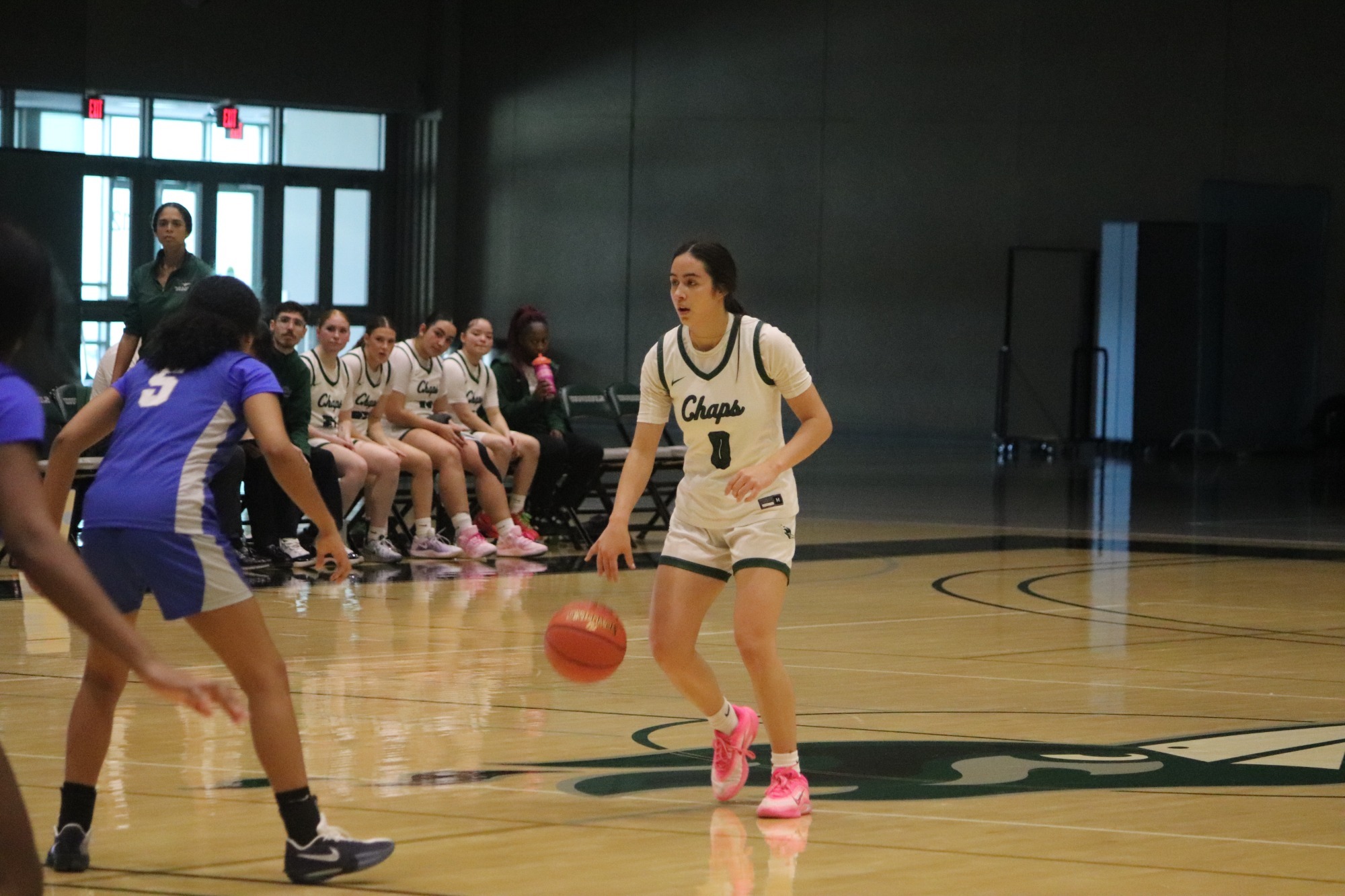 Lopez-dribble-harper