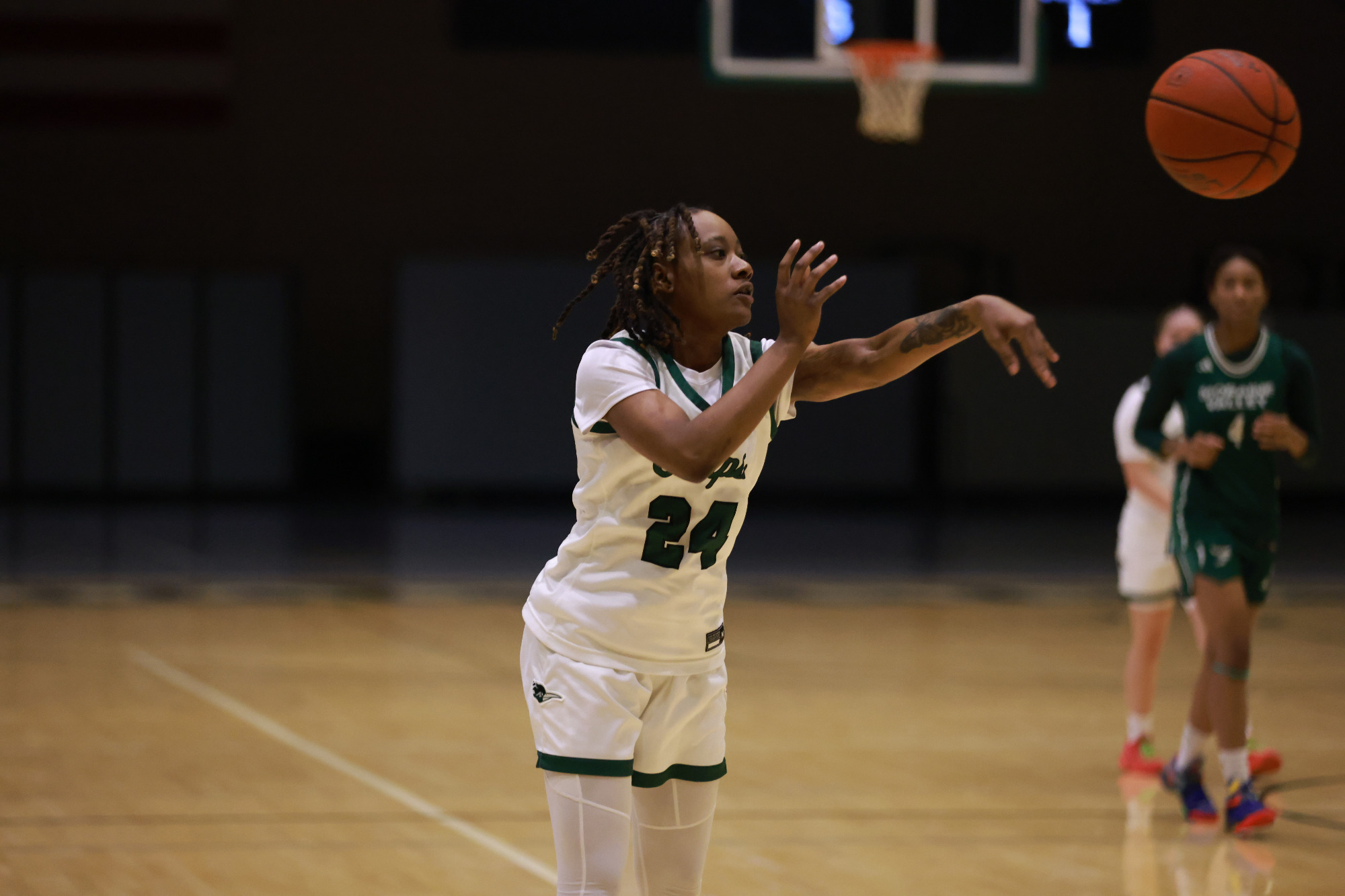 Harvey-McHenry Story