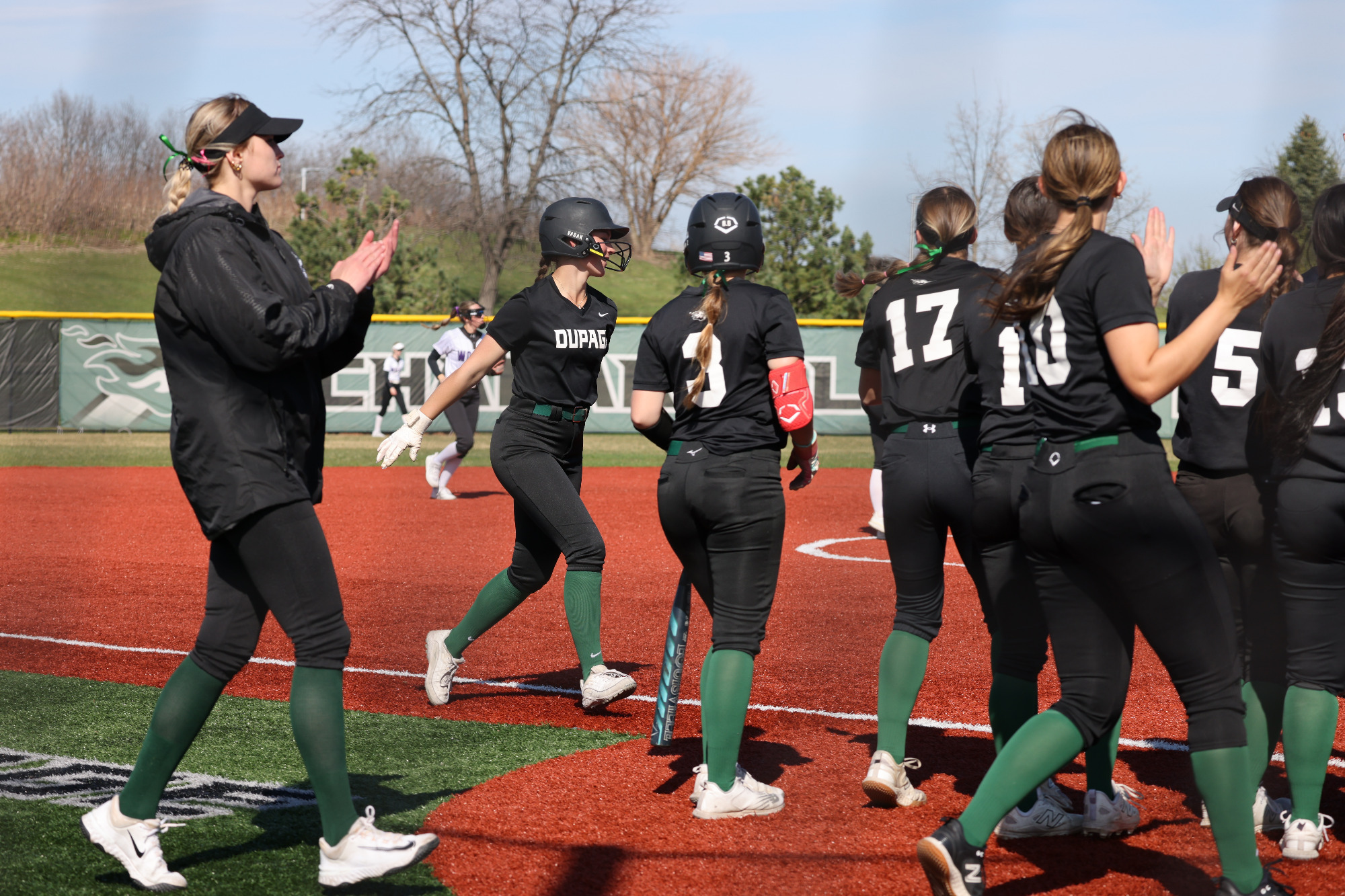 softball end of year recap