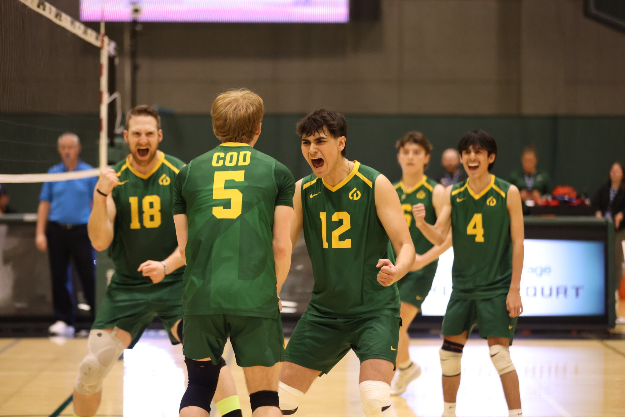 mens vball natty recap