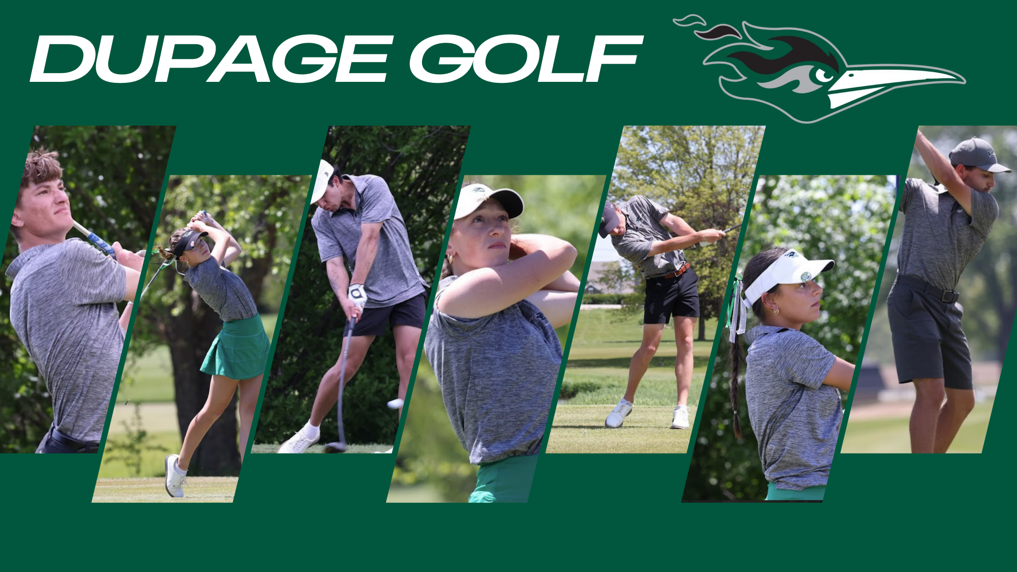 dupage golf natty promo 26