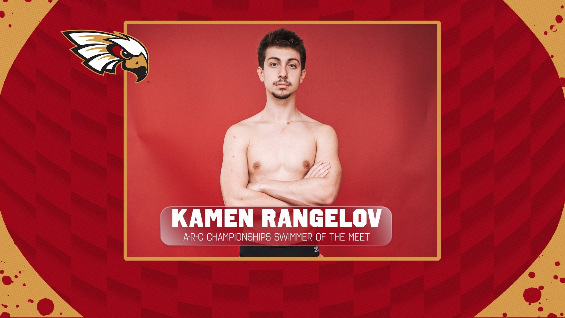 RANGELOVSWIMMER OF THE MET