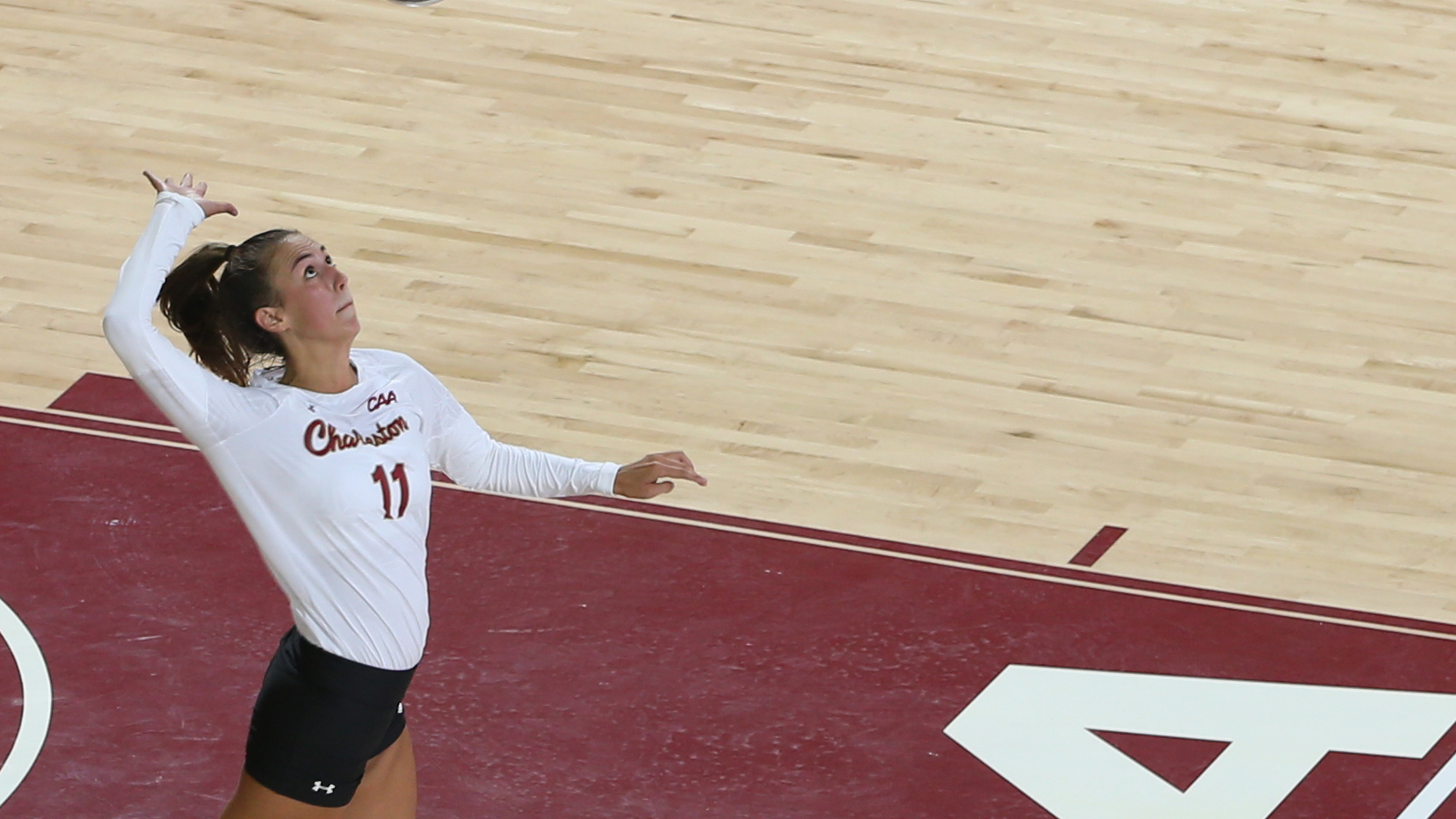 Tori Carpenter Volleyball College of Charleston Athletics