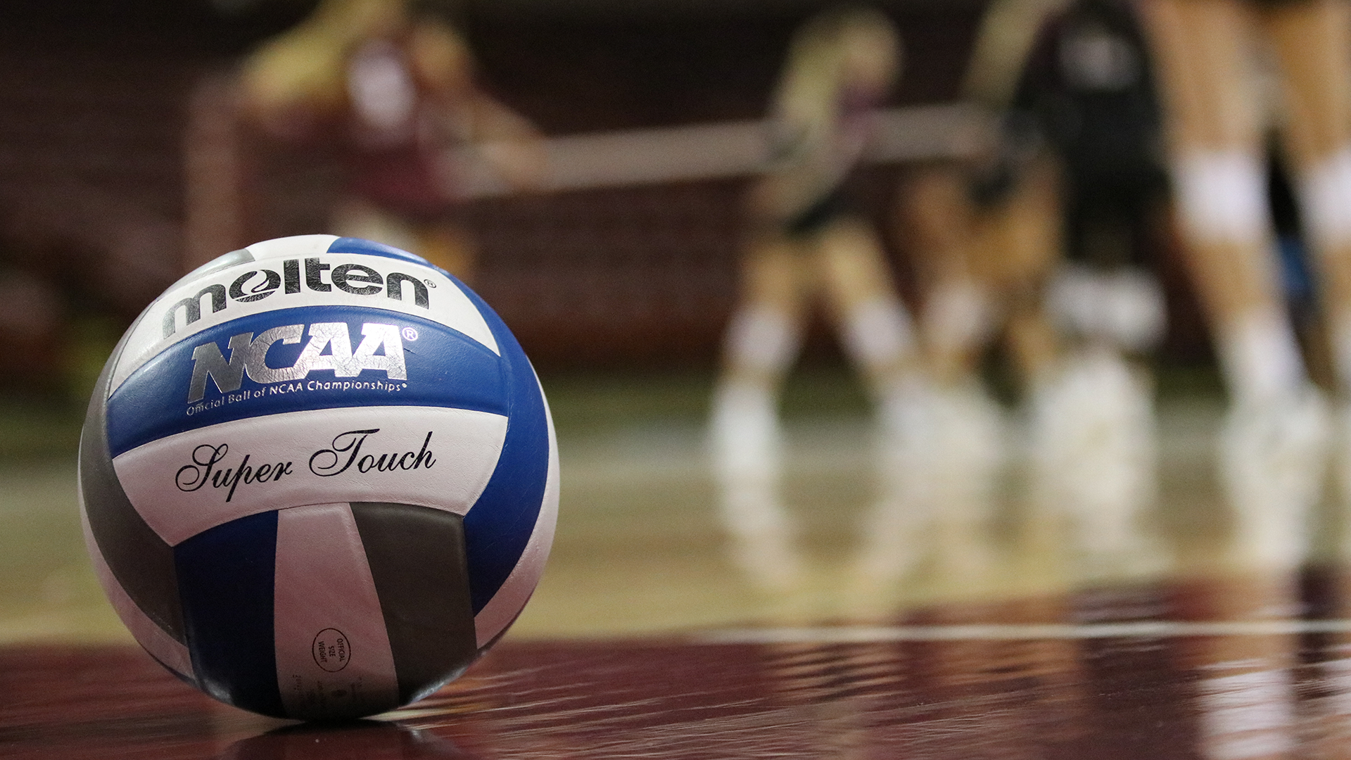 Charleston Draws Utah in NCAA Tournament First Round College of