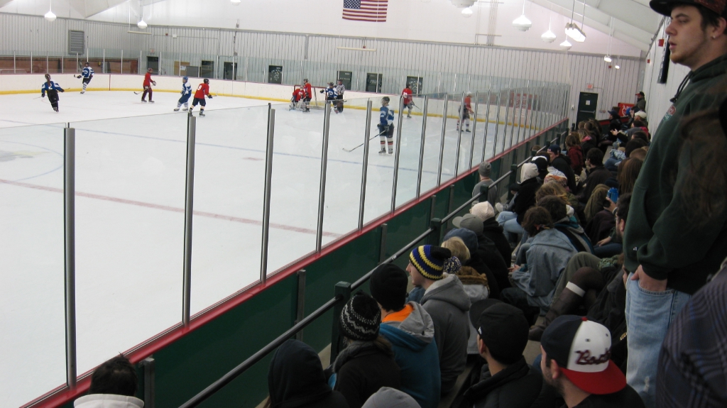 Ice Hockey Fan 2010-11