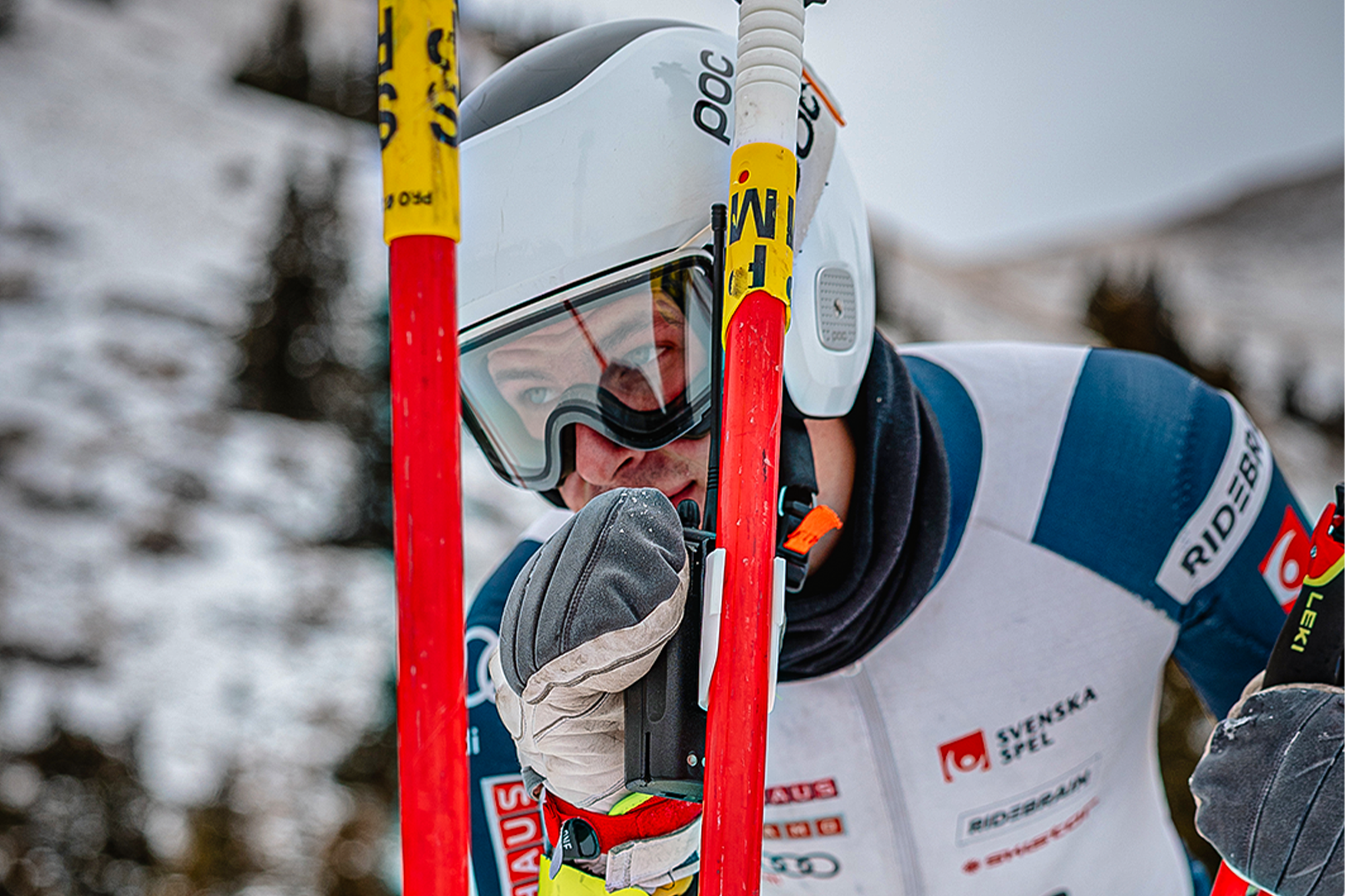 MALPINE 1.16.26 PREVIEW