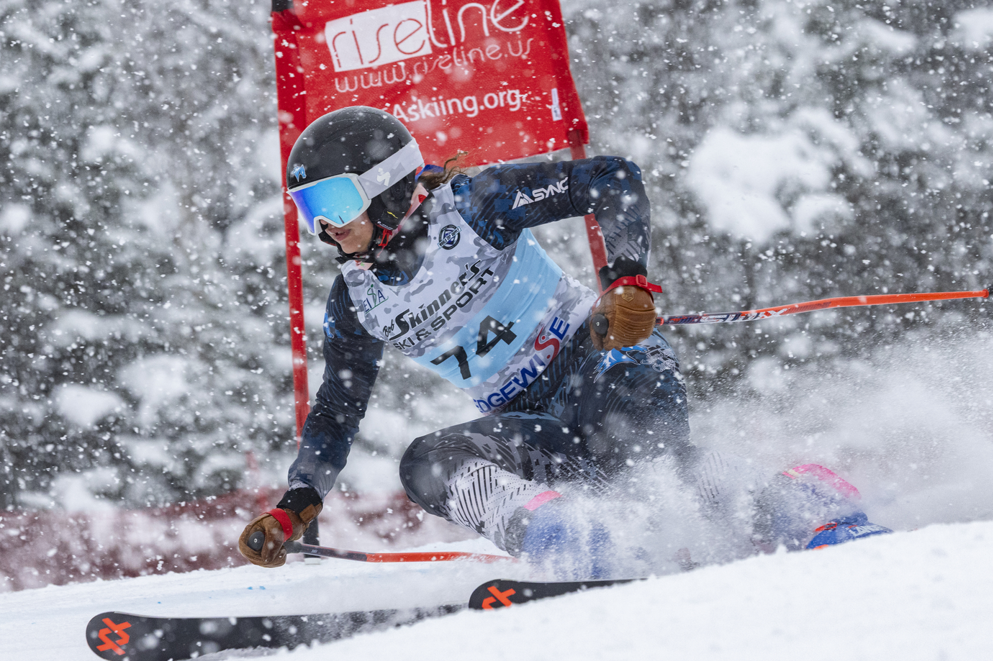 WALPINE 2.4.26 PREVIEW