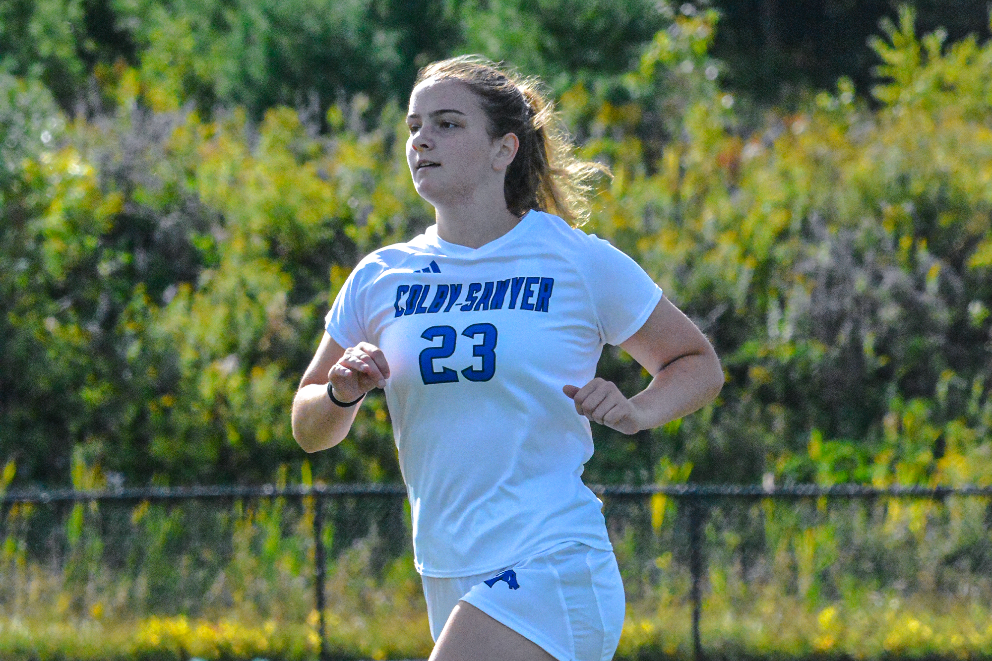 wsoc 9.13.26