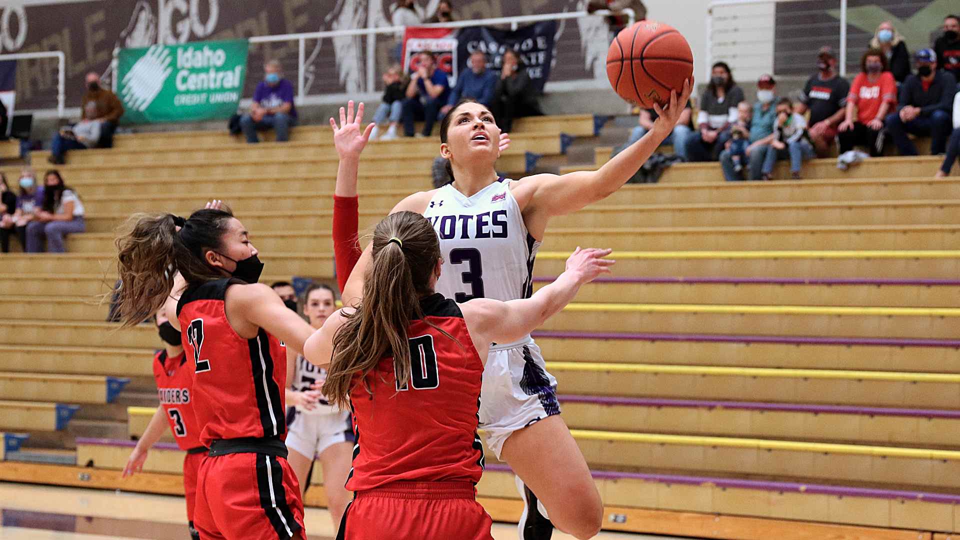 Lexi Mitchell Women's Basketball College of Idaho Athletics