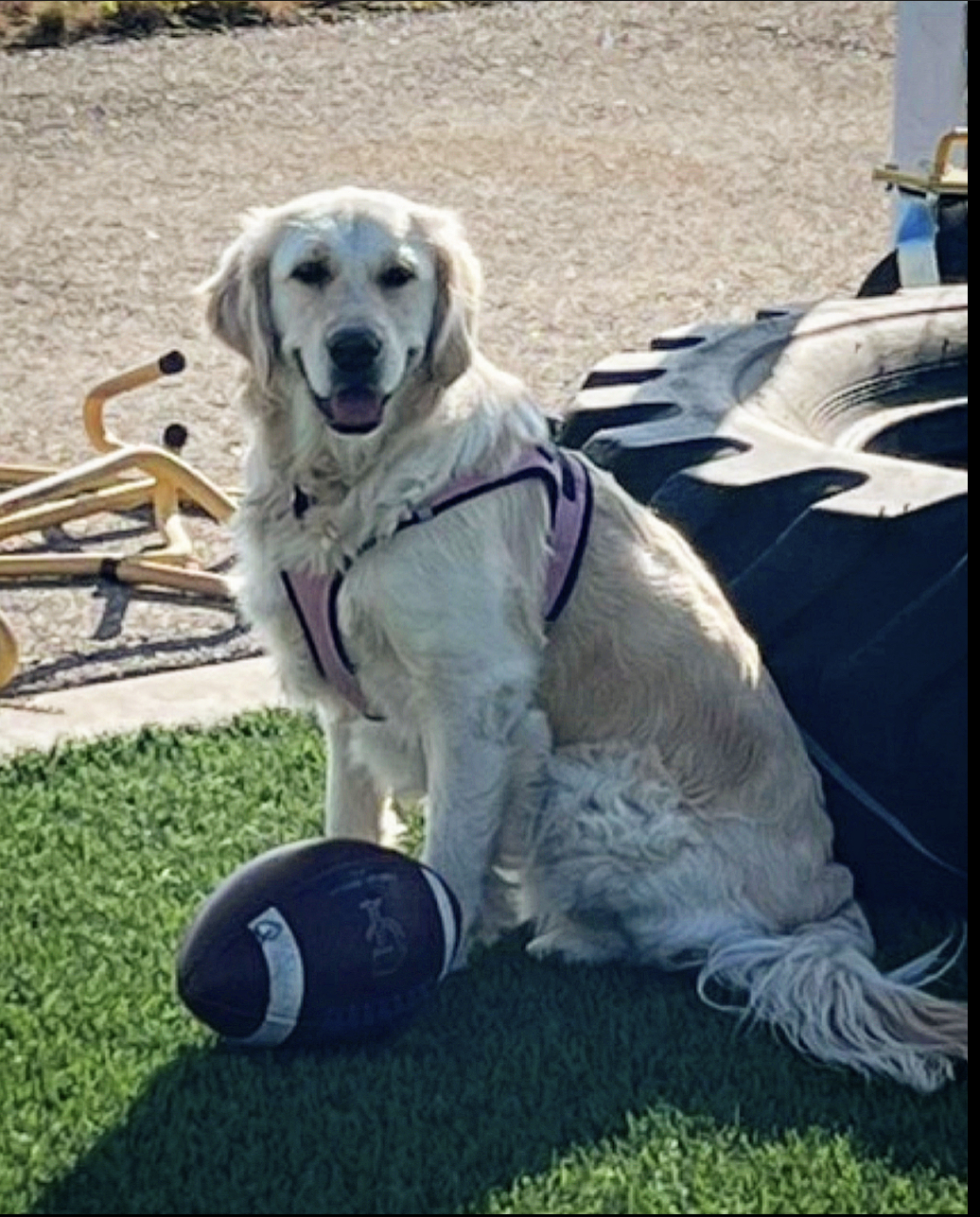 Nala