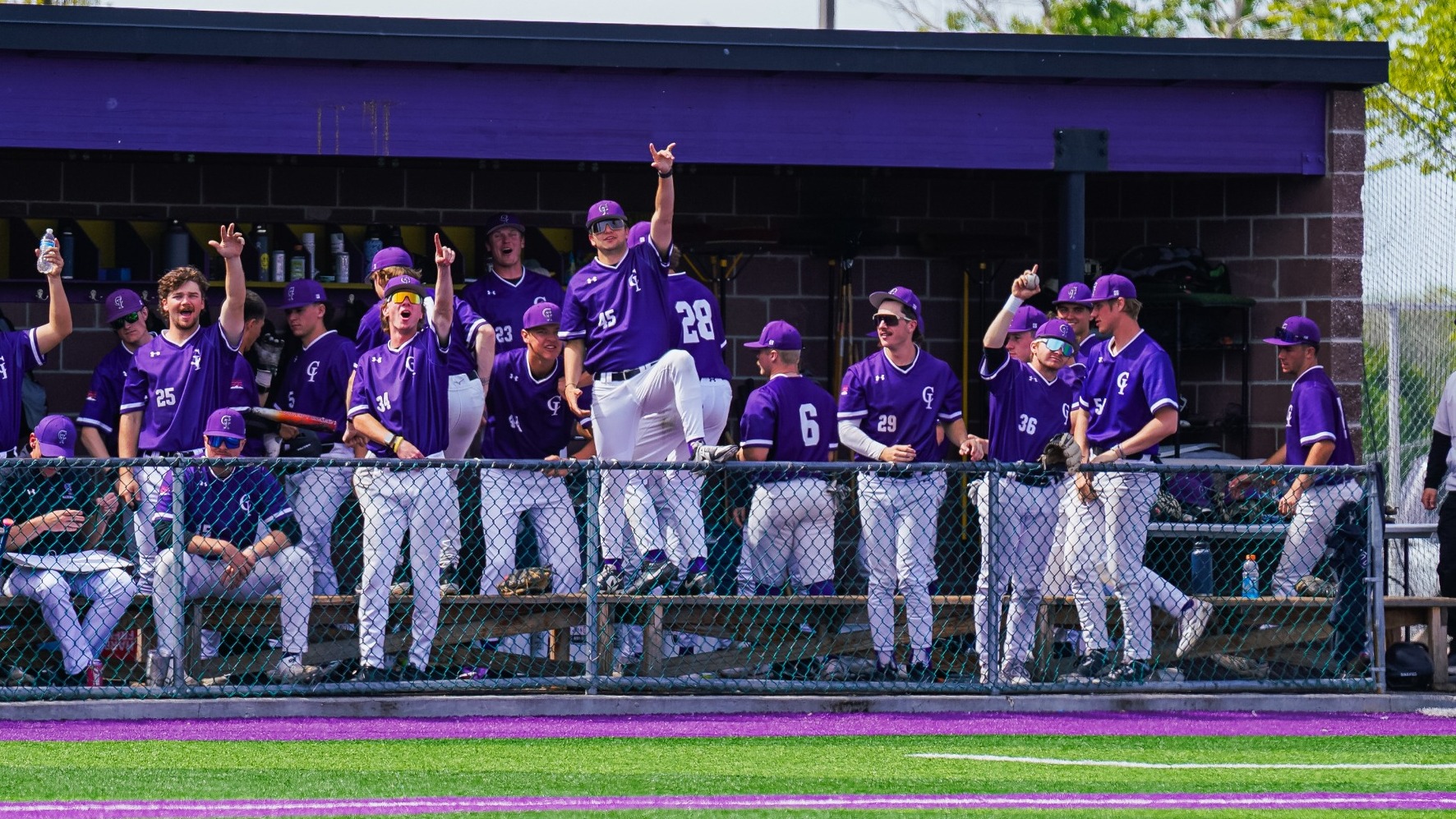 Yotes Celebrating in the dugout